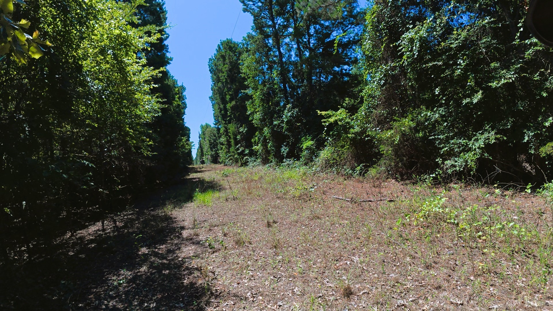 Tbd 40 Cr 4244 Property Photo 3