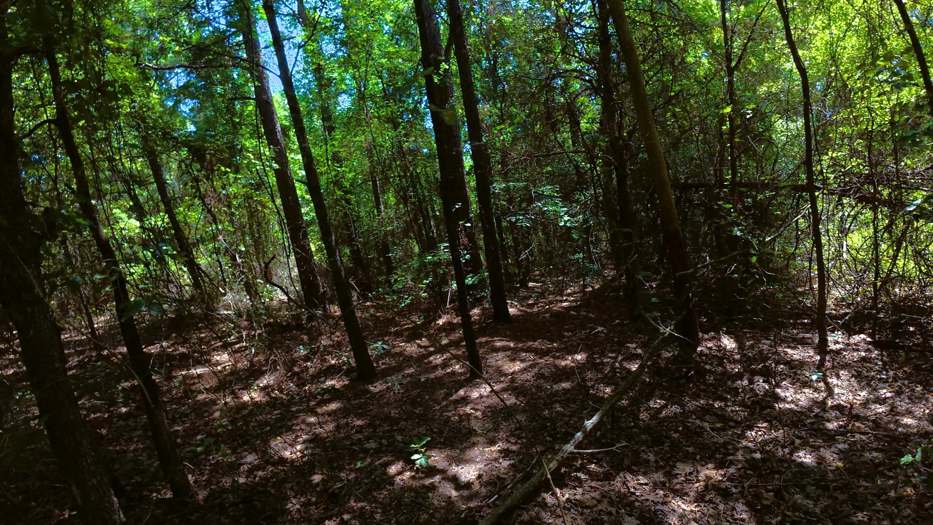 Tbd 40 Cr 4244 Property Photo 5