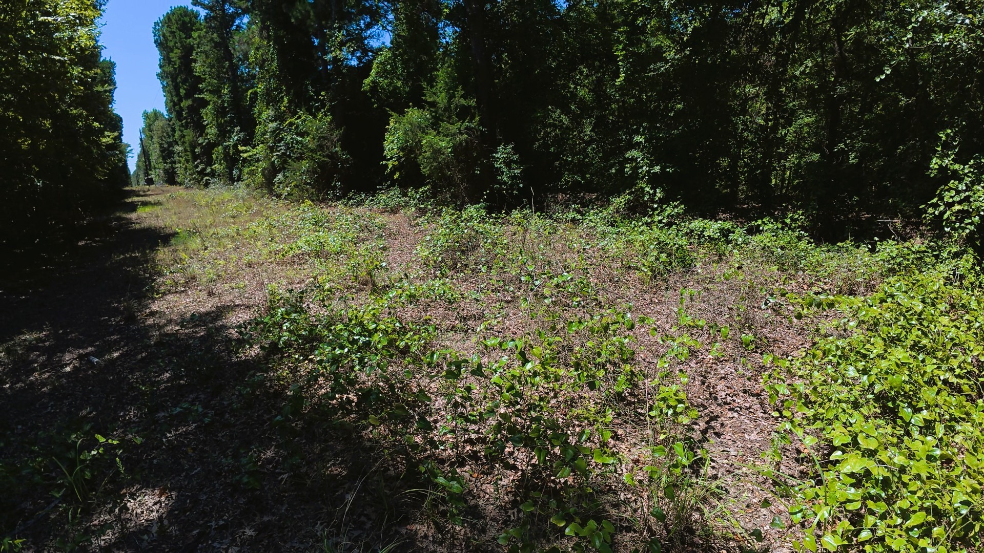 Tbd 40 Cr 4244 Property Photo 12