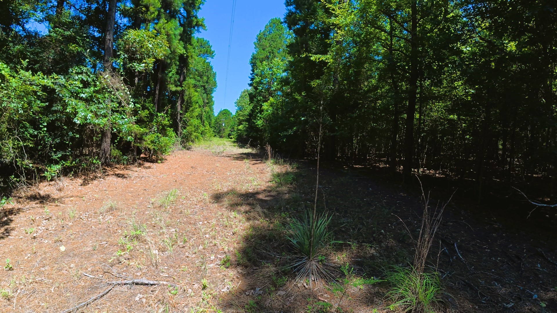 Tbd 40 Cr 4244 Property Photo 13