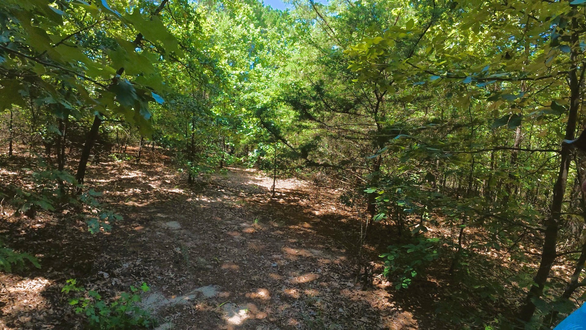Tbd 40 Cr 4244 Property Photo 16