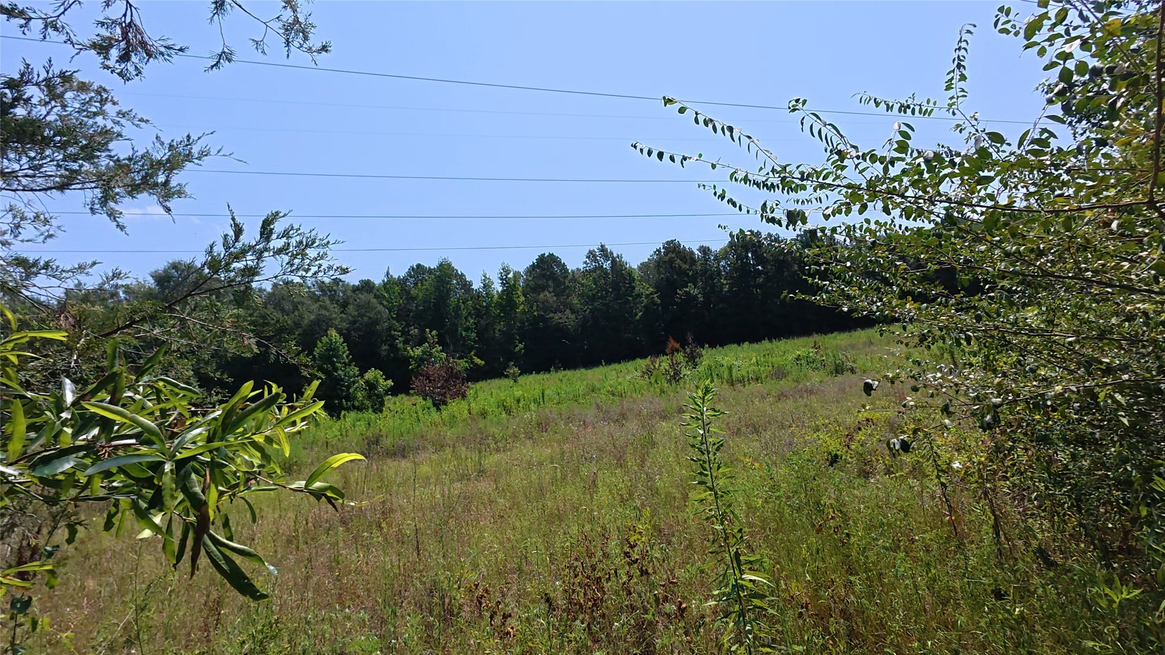 Tbd 40 Cr 4244 Property Photo 21