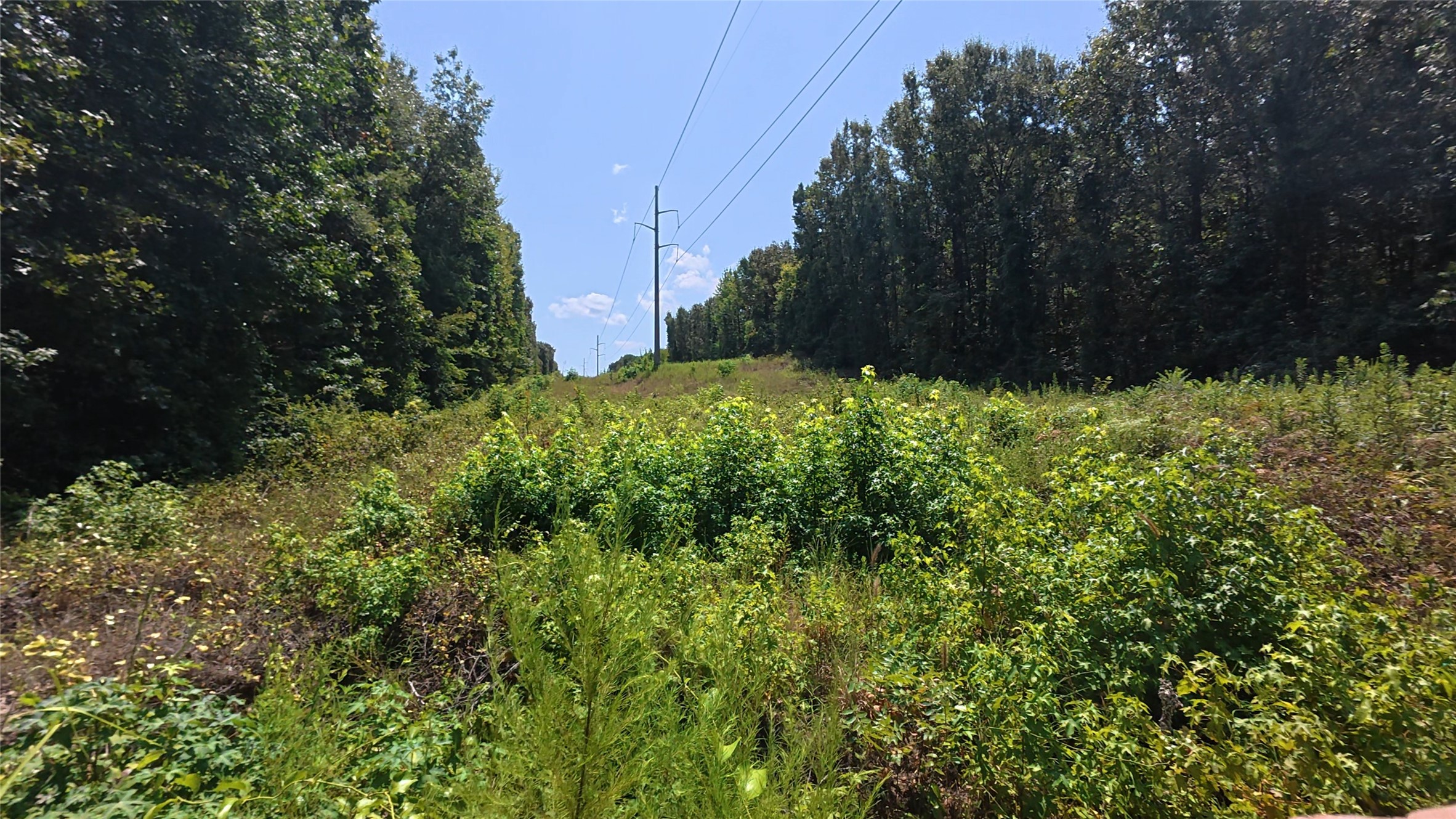 Tbd 40 Cr 4244 Property Photo 23