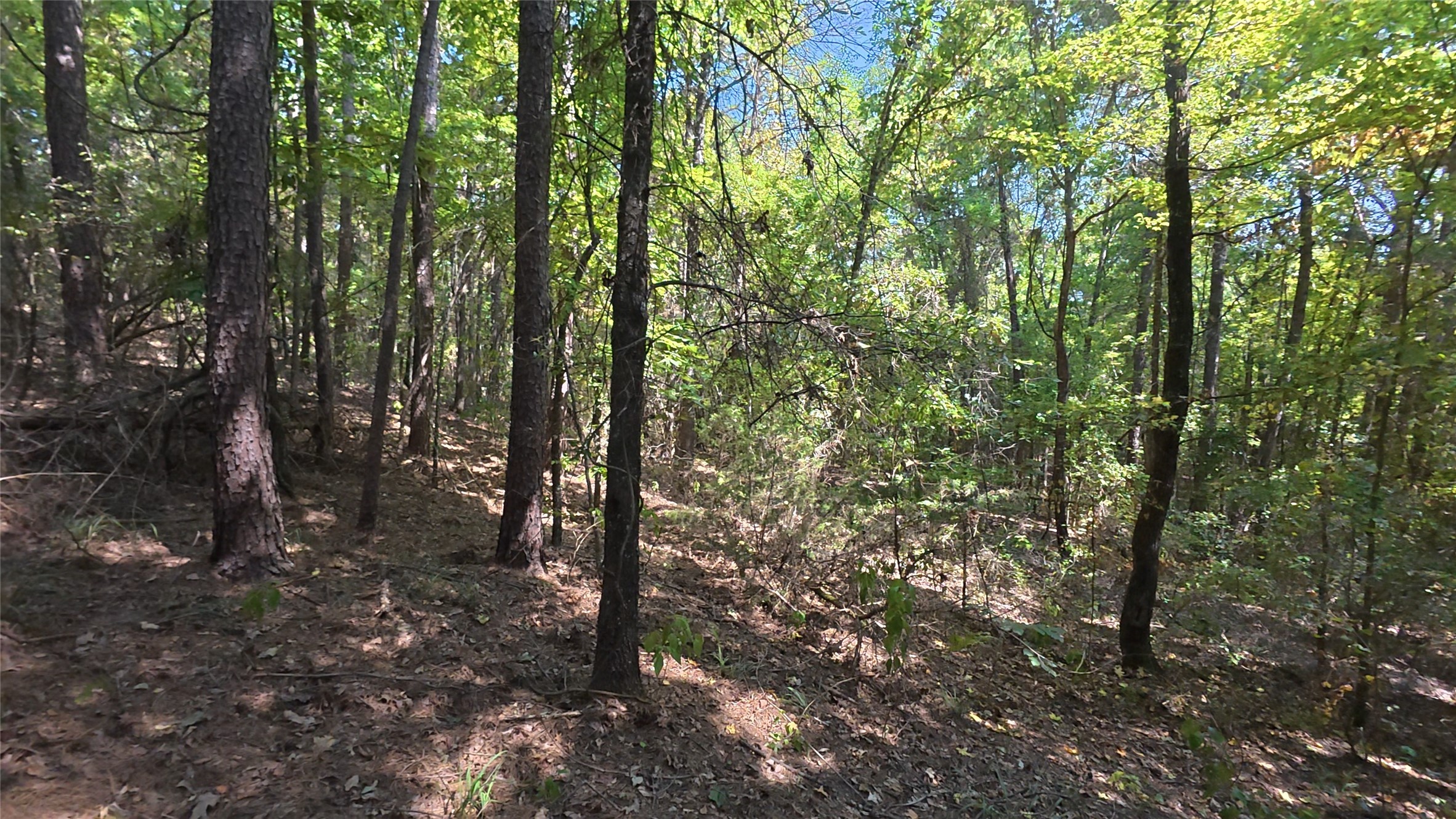 Tbd 40 Cr 4244 Property Photo 25