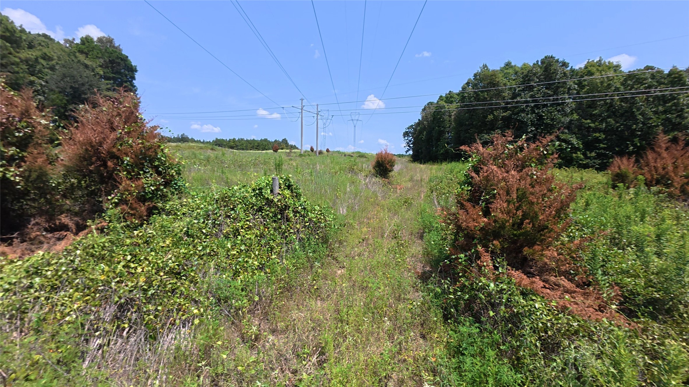 Tbd 40 Cr 4244 Property Photo 27