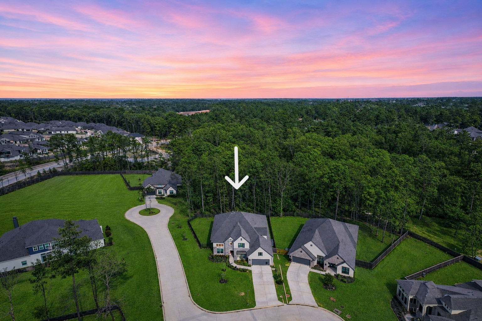 208 Twinflower Trail Court Property Photo 3