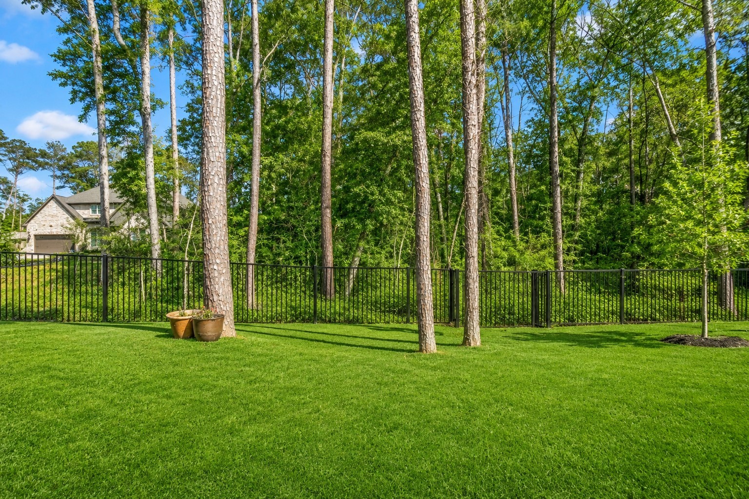 208 Twinflower Trail Court Property Photo 38