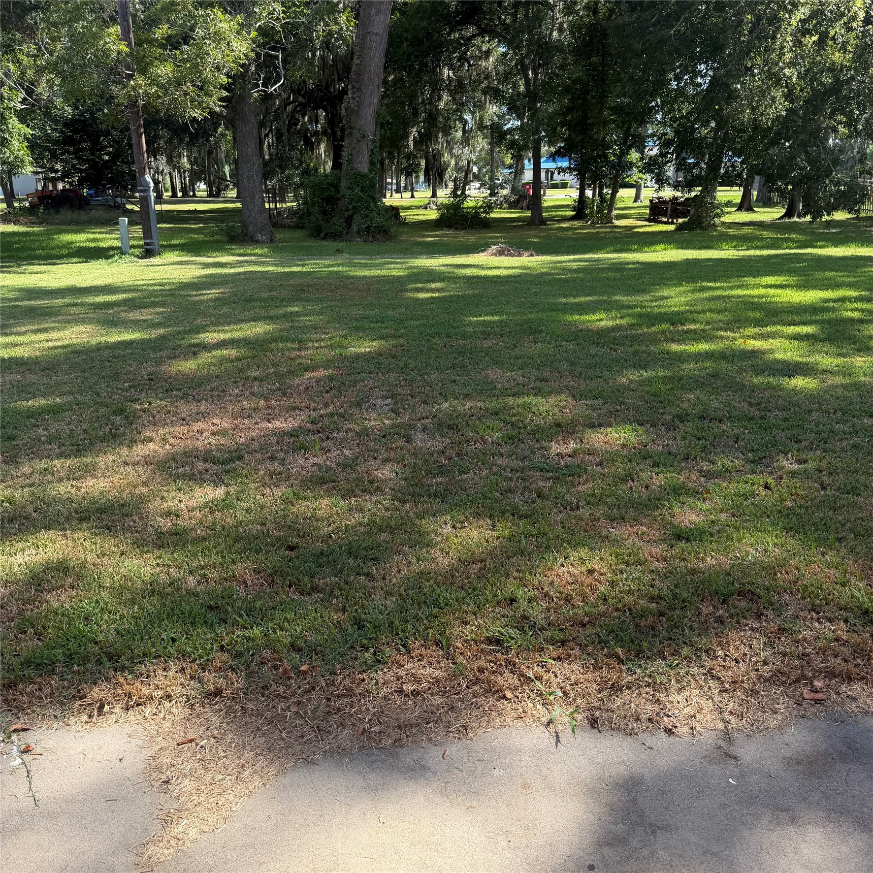 3127 County Road 510k Property Photo 9