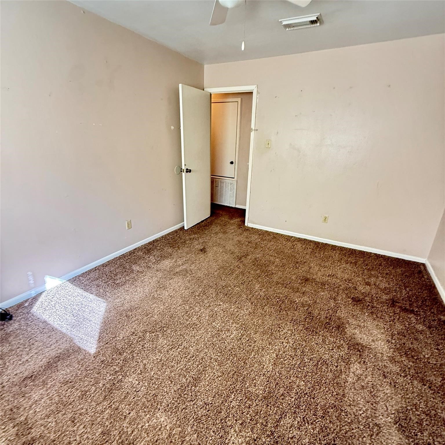 3127 County Road 510k Property Photo 13