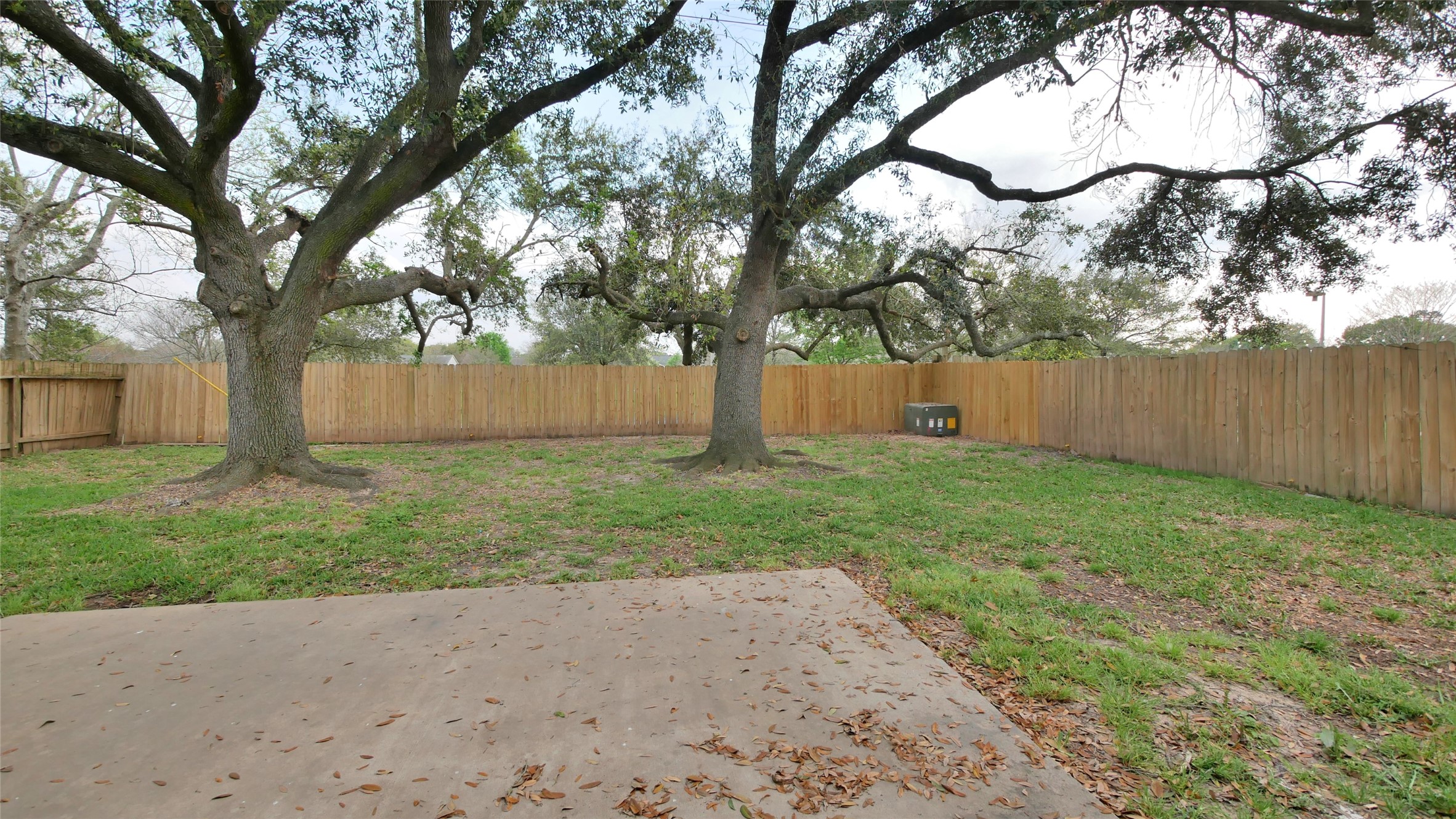 19447 Spanish Needle Drive Property Photo 2