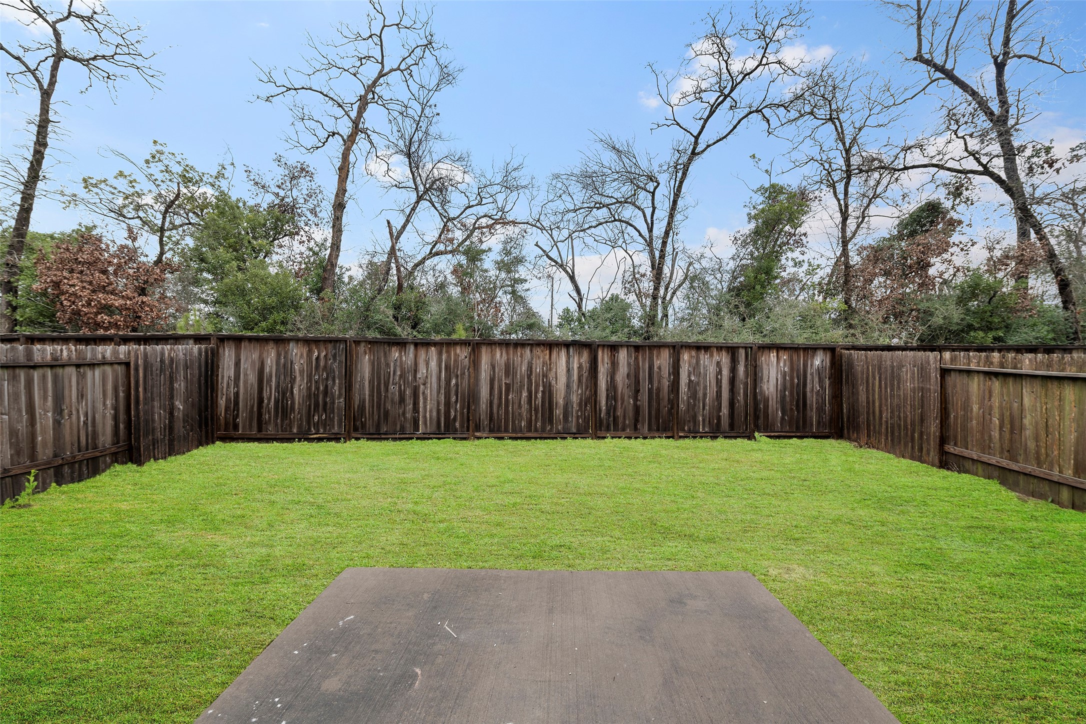 25953 Northpark Birch Drive Property Photo 13