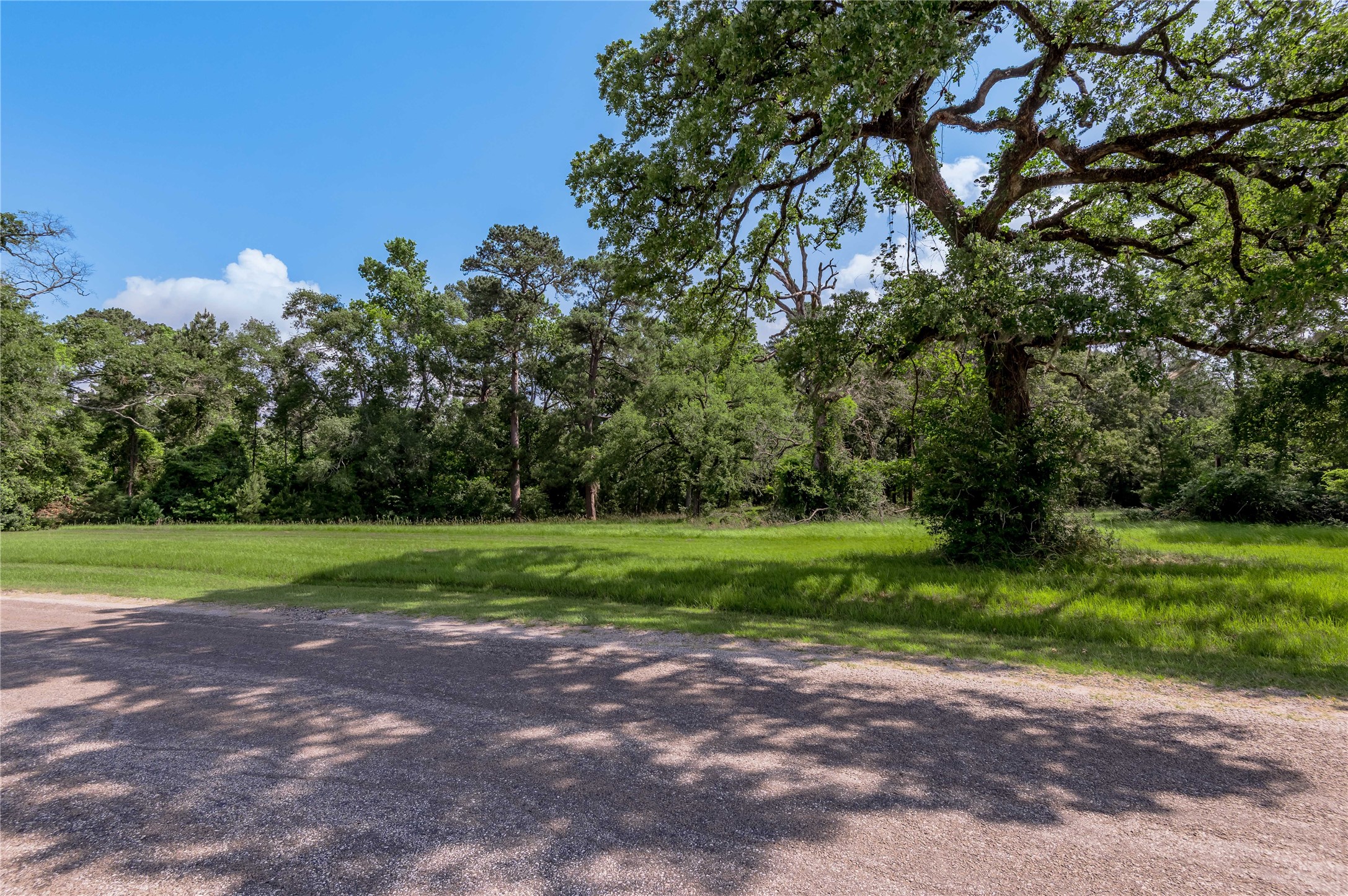 Lot 3 Tara Drive Property Photo 4