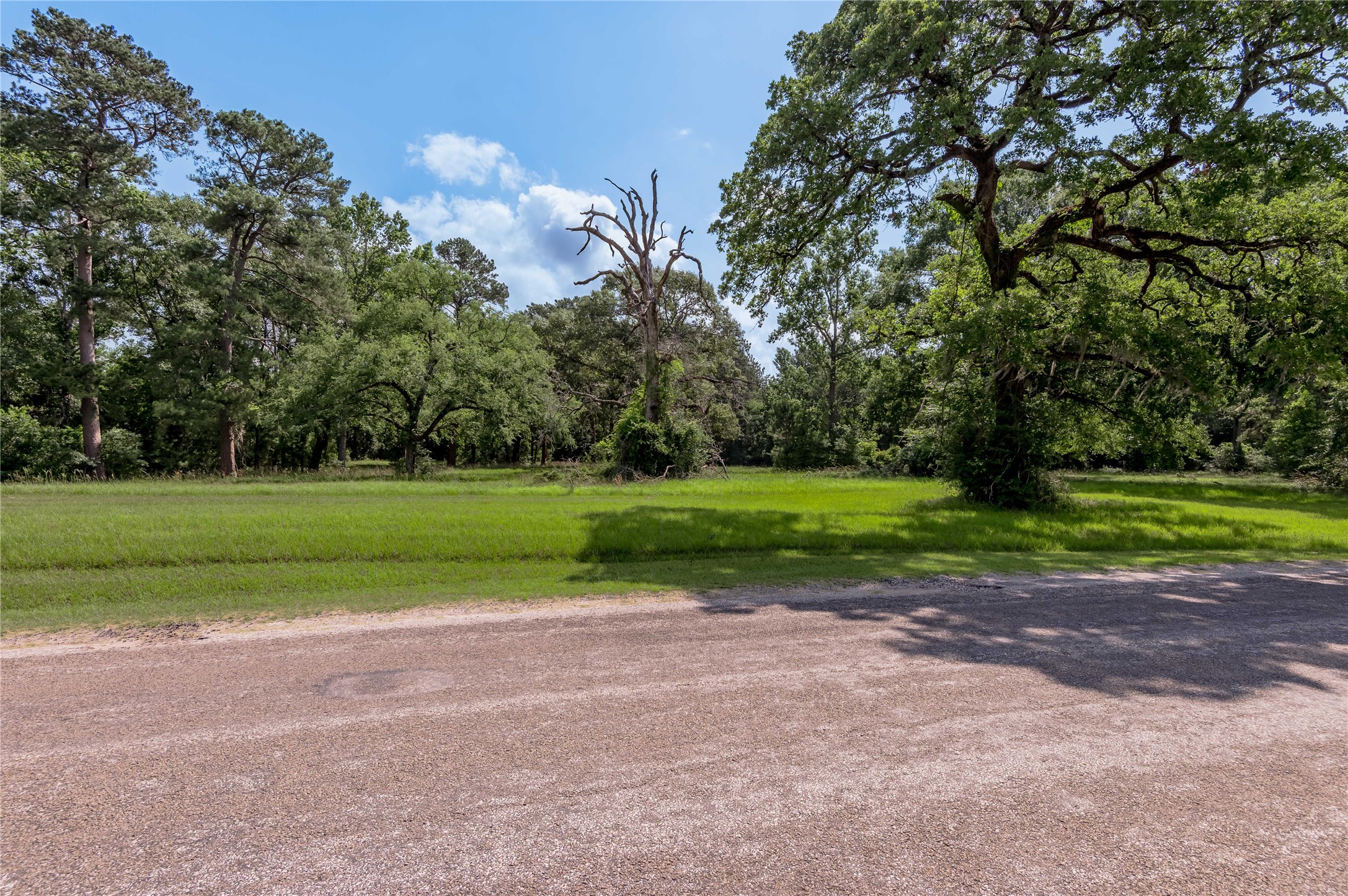 Lot 3 Tara Drive Property Photo 6