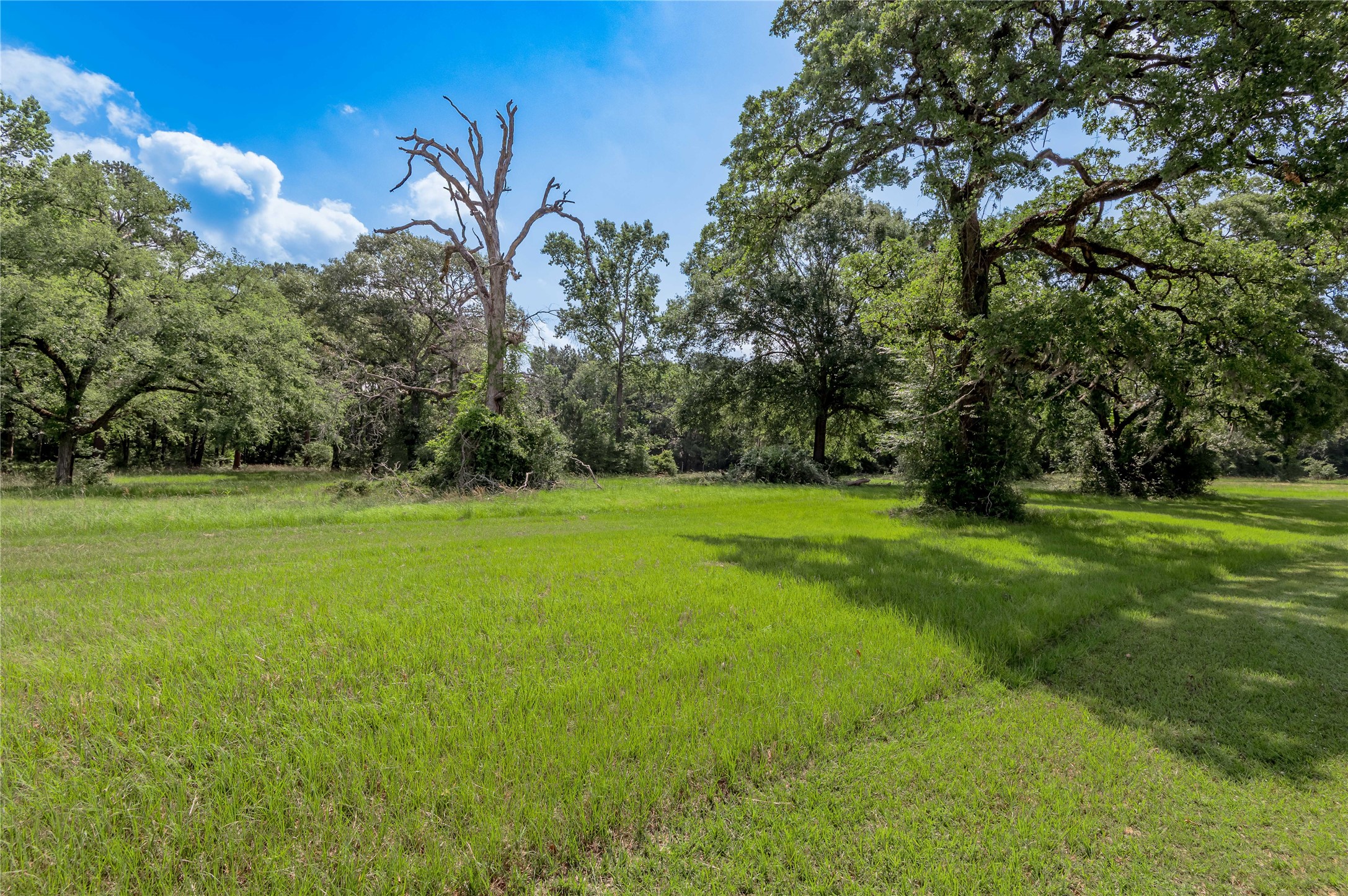 Lot 3 Tara Drive Property Photo 7