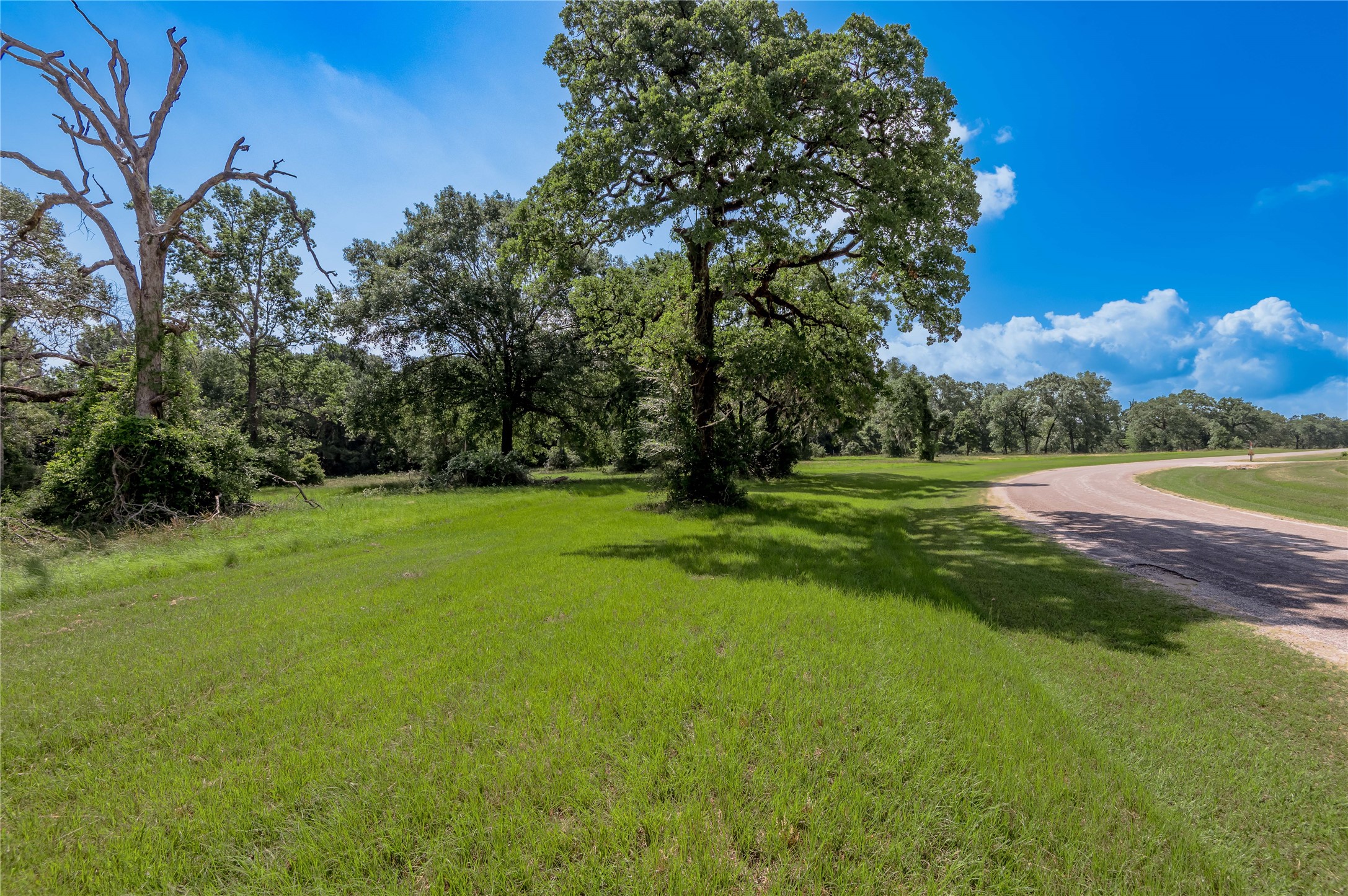 Lot 3 Tara Drive Property Photo 8