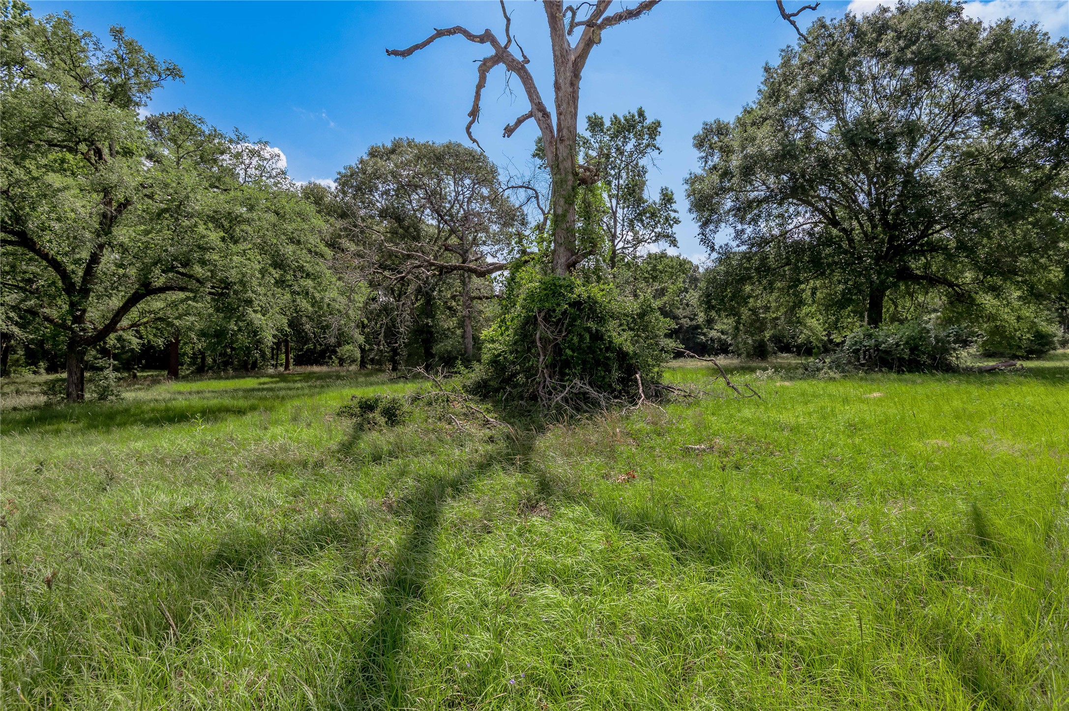 Lot 3 Tara Drive Property Photo 9