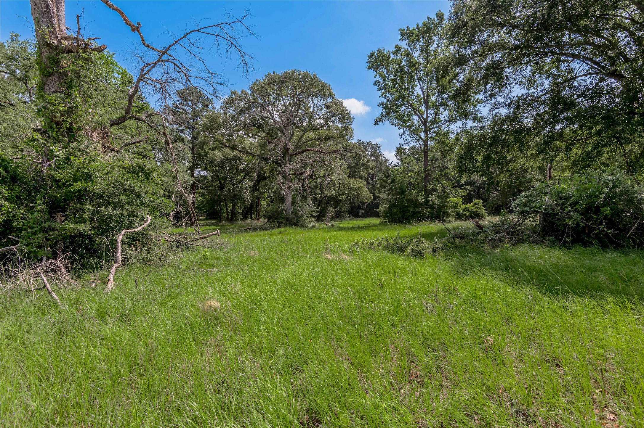 Lot 3 Tara Drive Property Photo 10