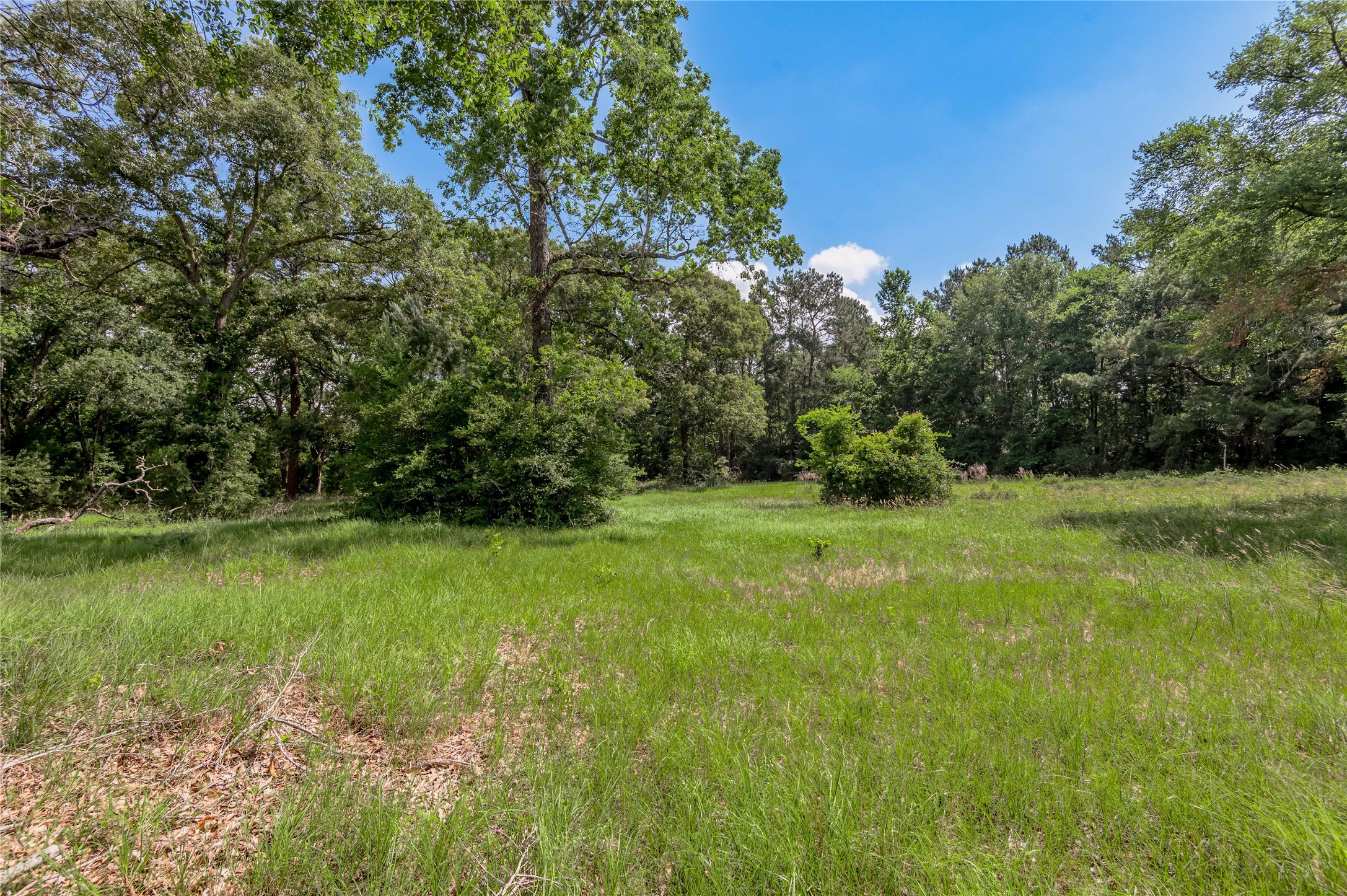 Lot 3 Tara Drive Property Photo 11