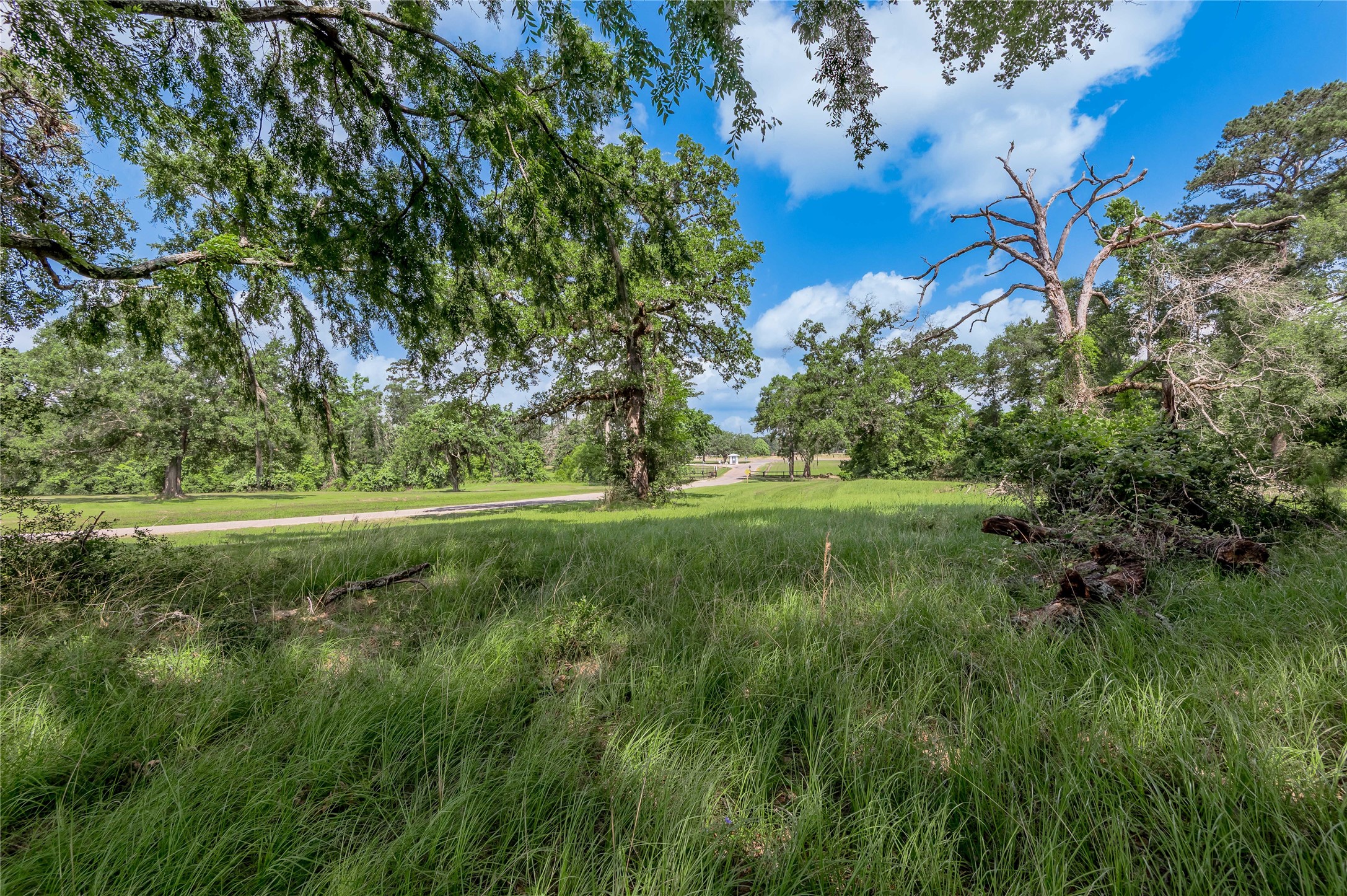 Lot 3 Tara Drive Property Photo 13