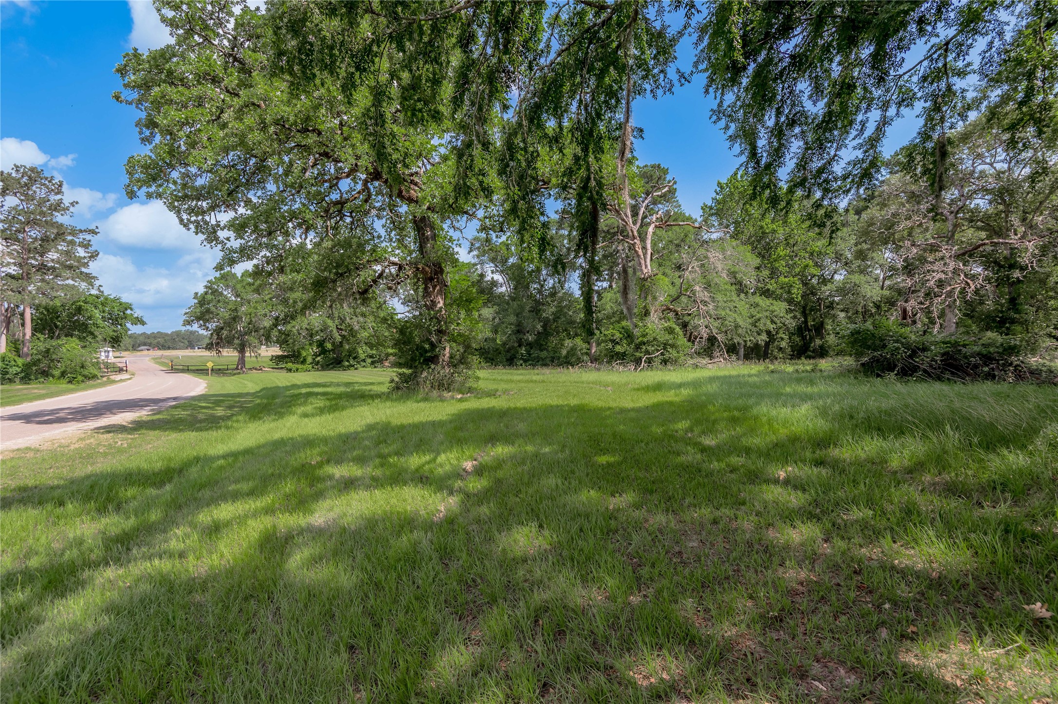 Lot 3 Tara Drive Property Photo 14