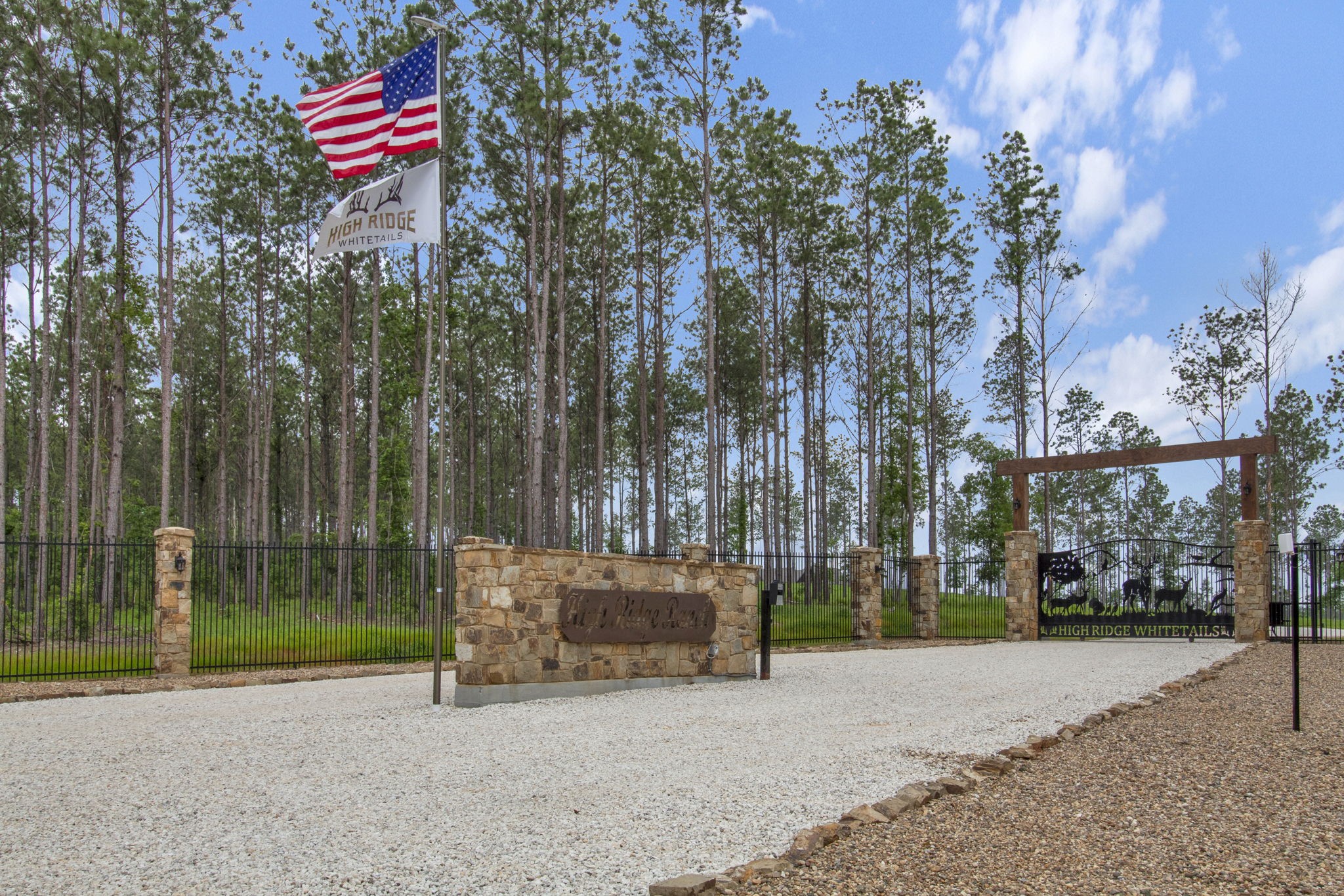 008 Big Buck Drive Property Photo 1