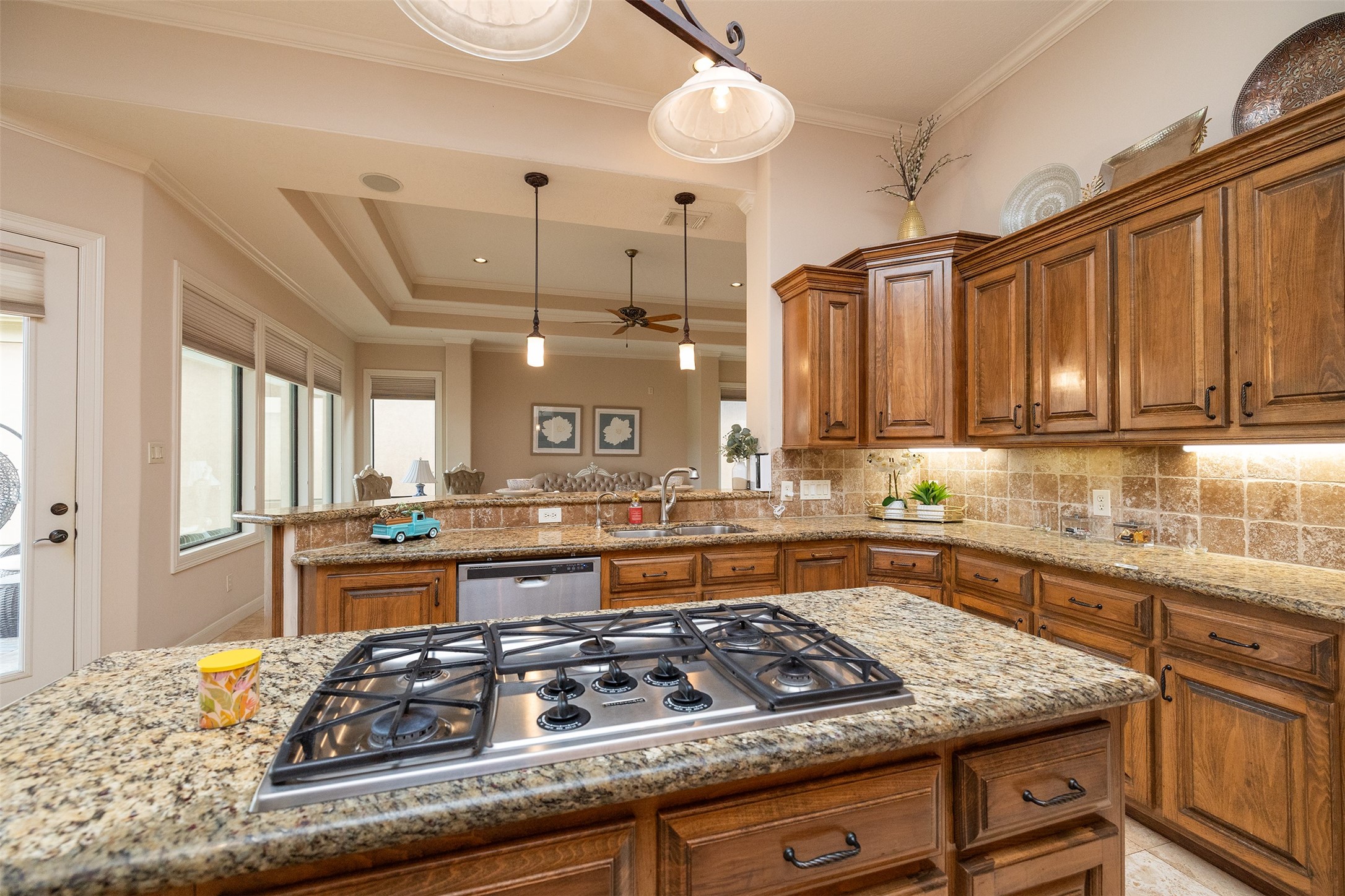 3023 Serena Vista Way Property Photo 18