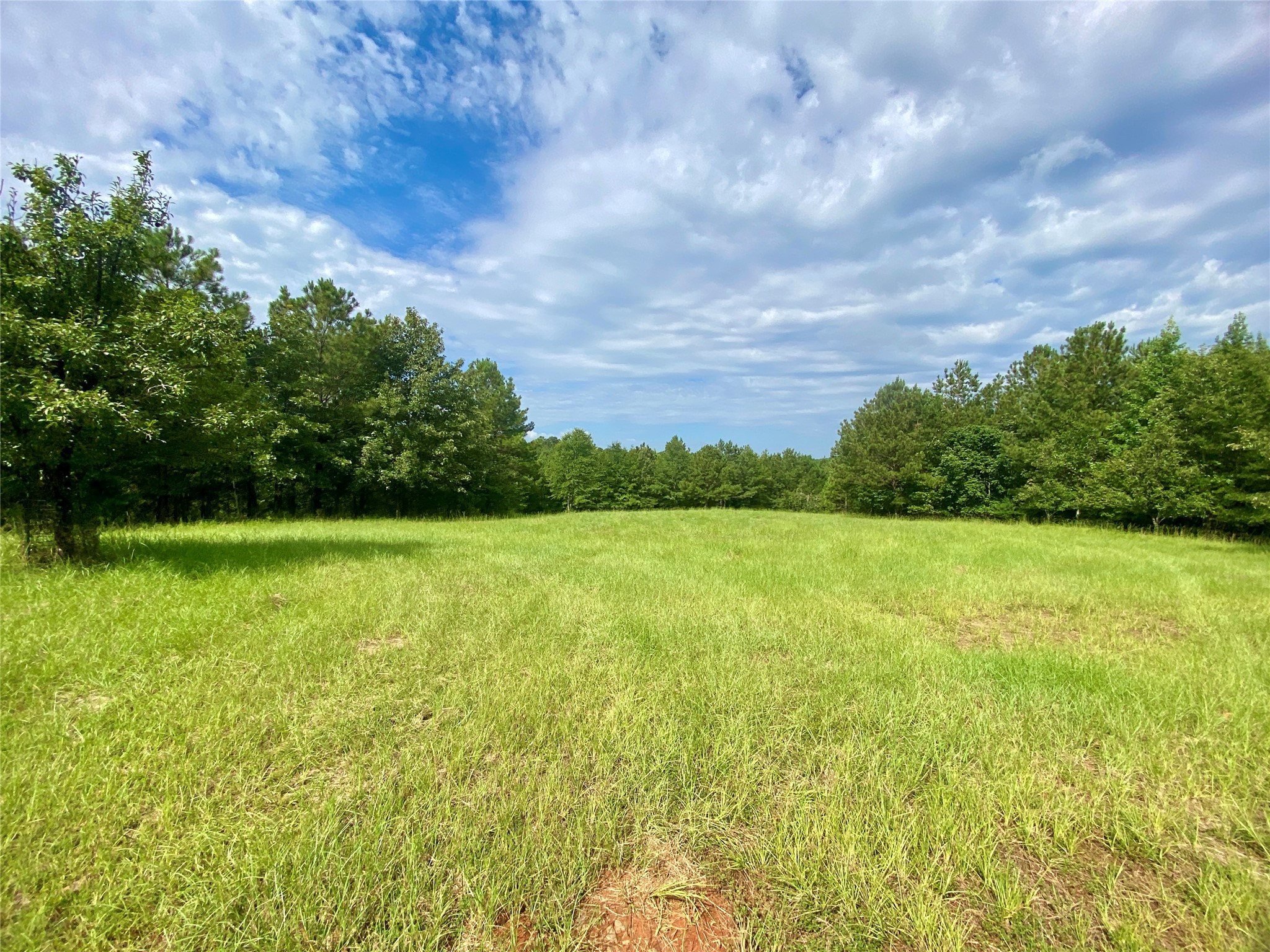 1107 Pete Johnson Road Property Photo 1