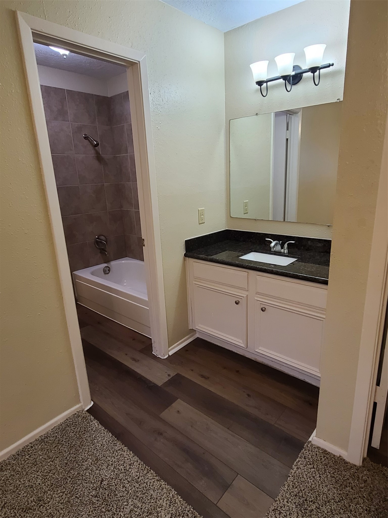 17123 Forelock Way Property Photo 21