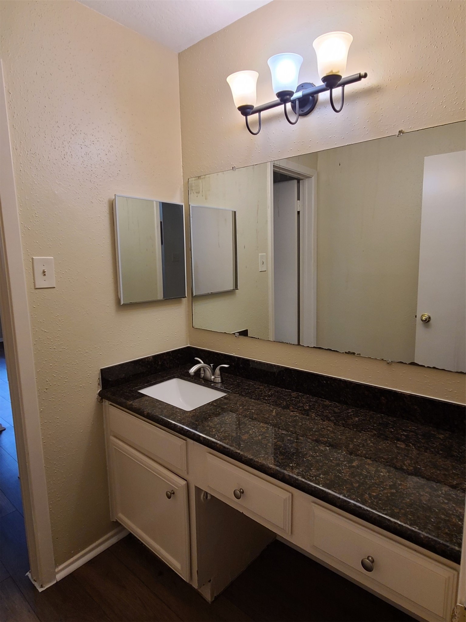 17123 Forelock Way Property Photo 23