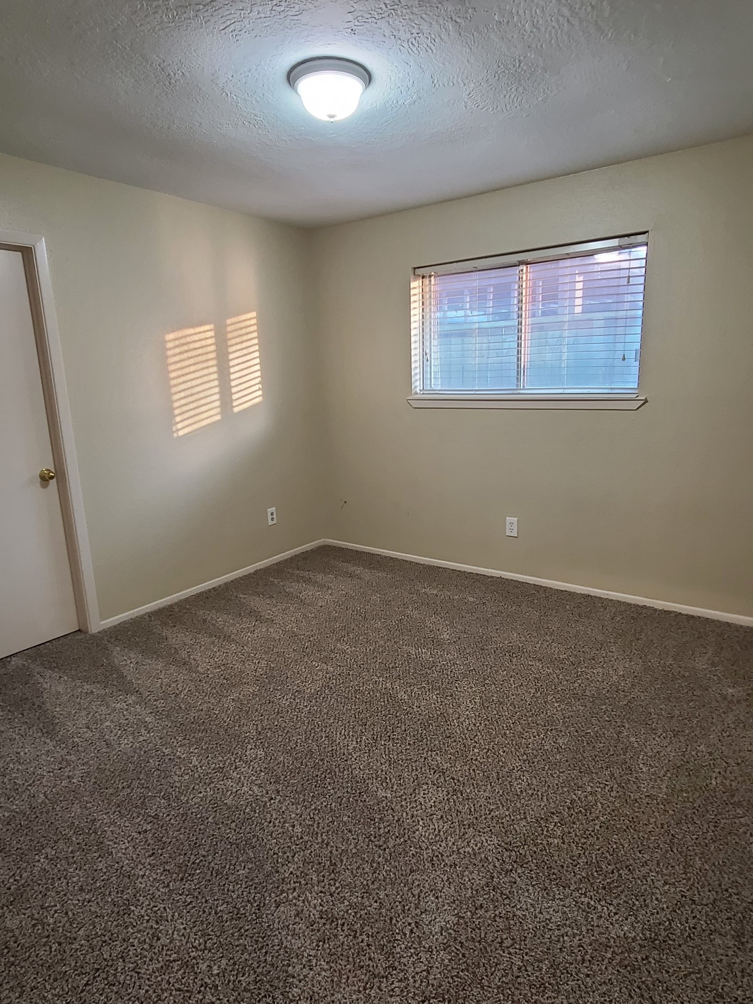 17123 Forelock Way Property Photo 24