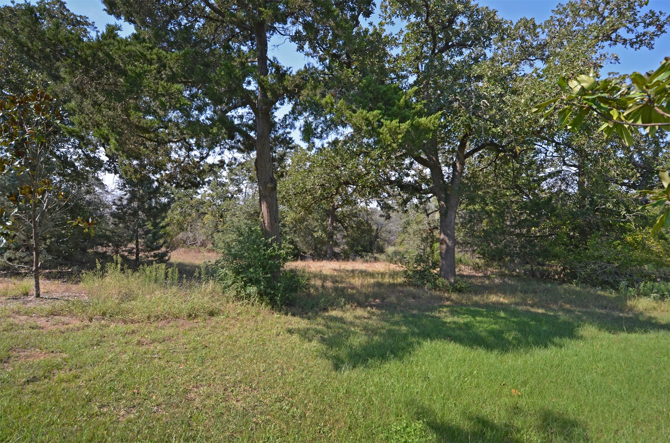 1880 Schoenberg Road Property Photo 8