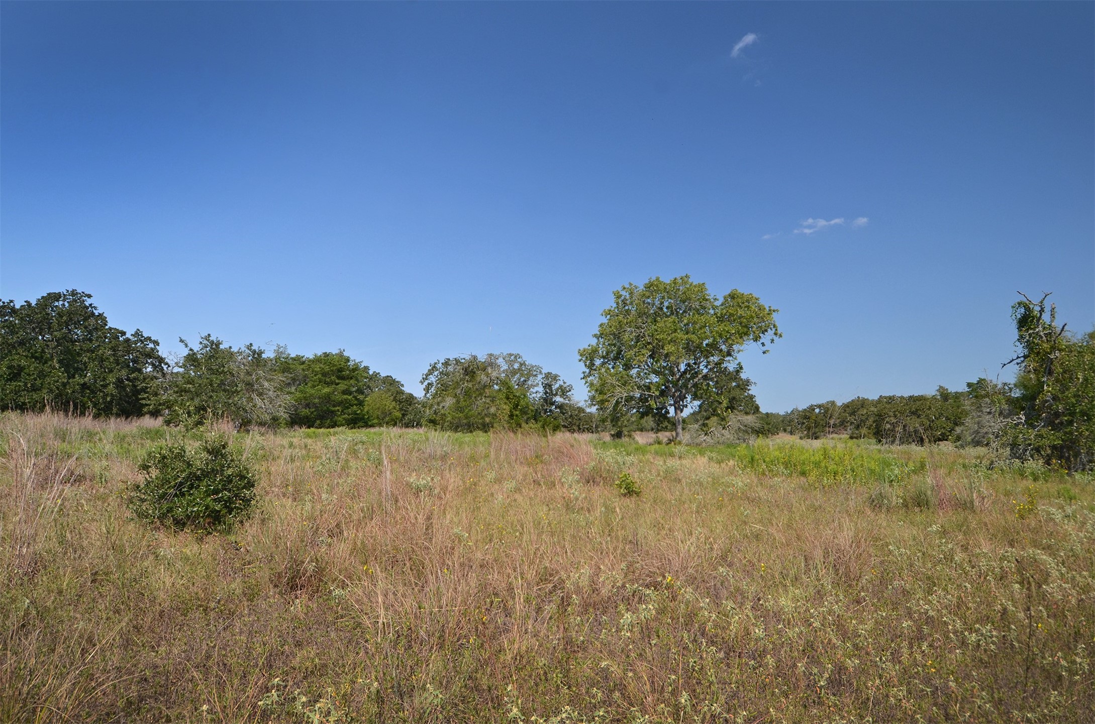 1880 Schoenberg Road Property Photo 32
