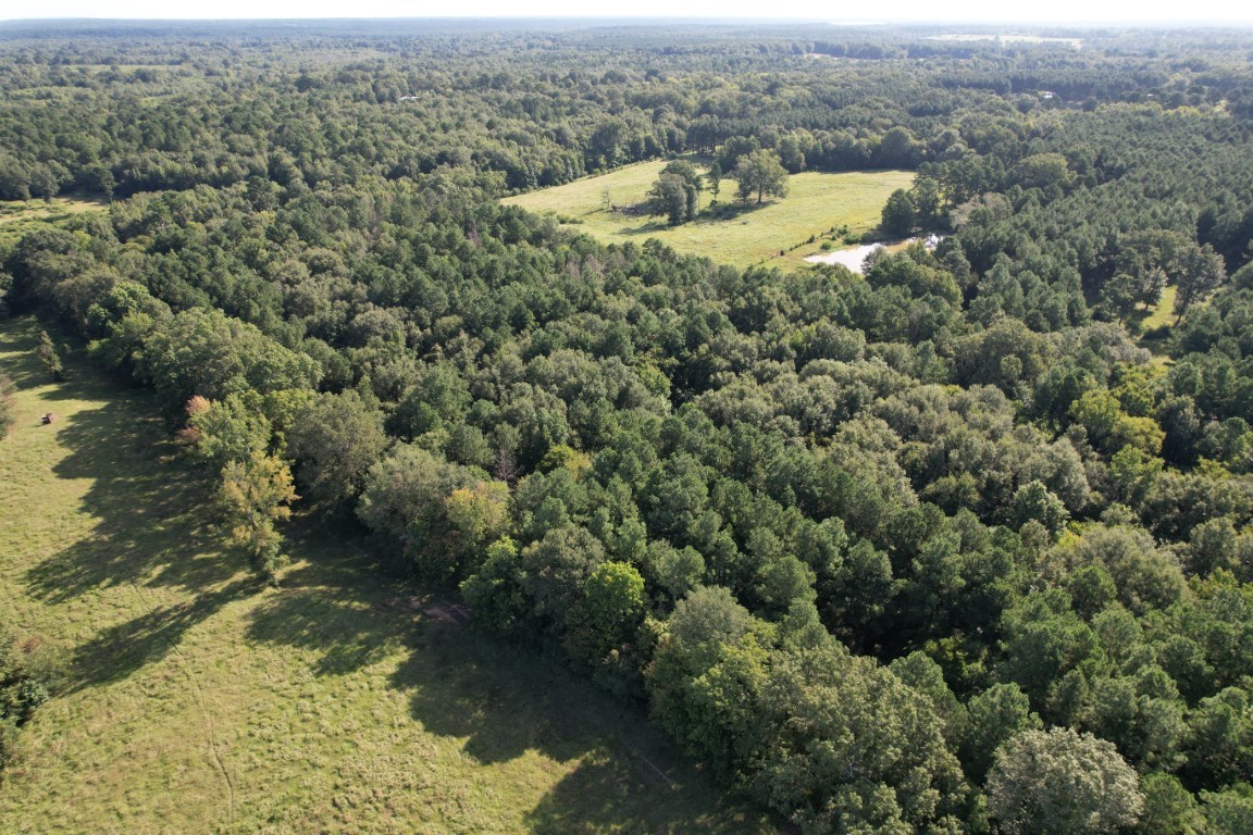 Tbd County Road 168-1 Property Photo 1