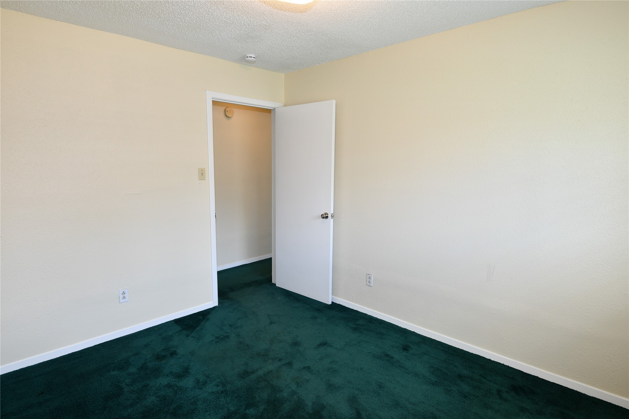 8518 Rinn Street Property Photo 18