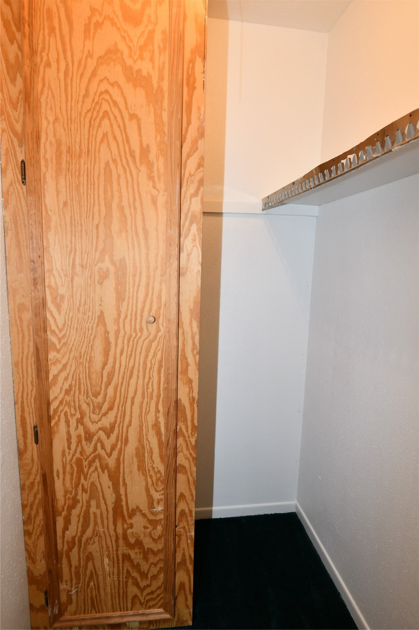 8518 Rinn Street Property Photo 19