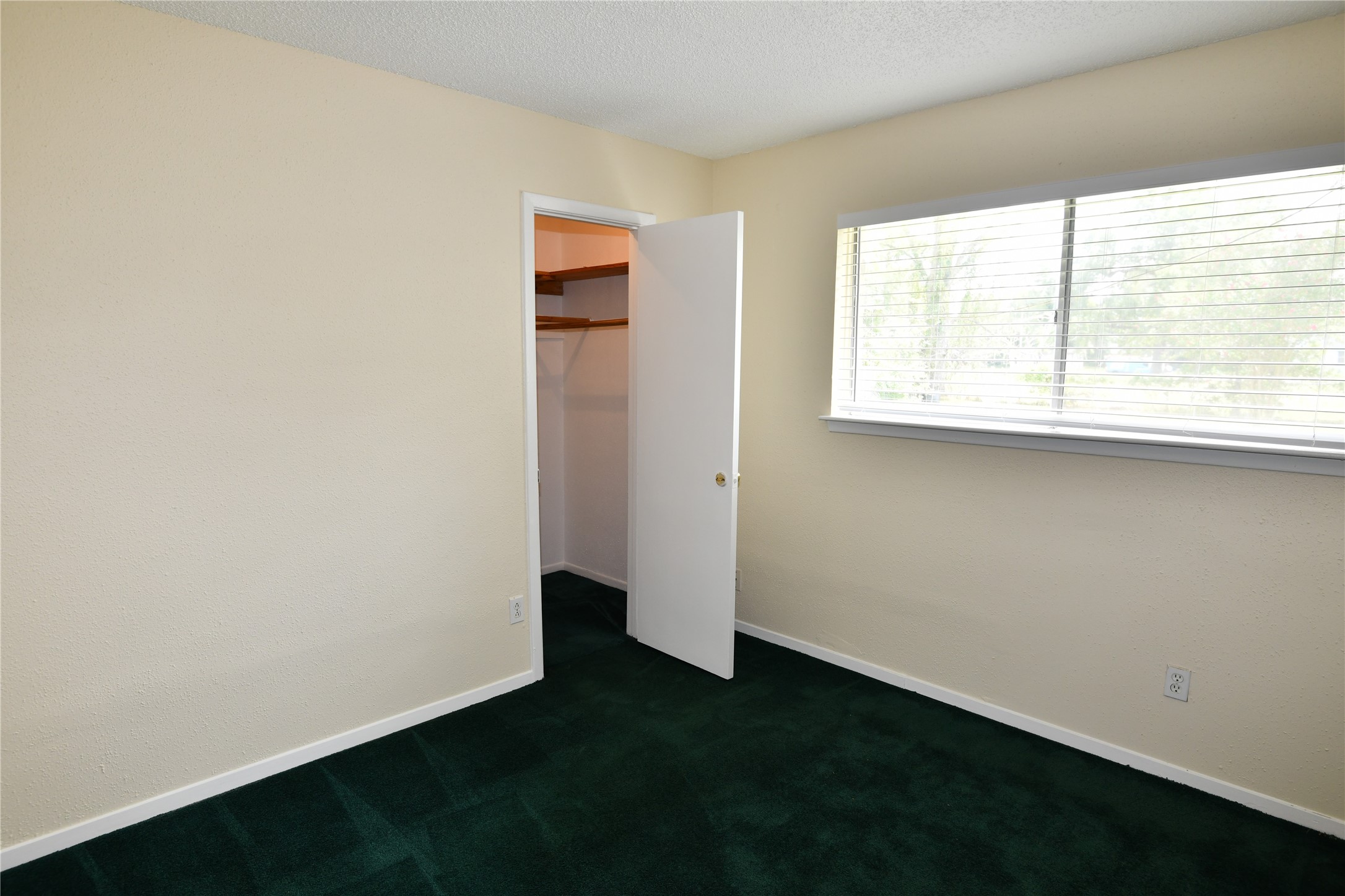 8518 Rinn Street Property Photo 20