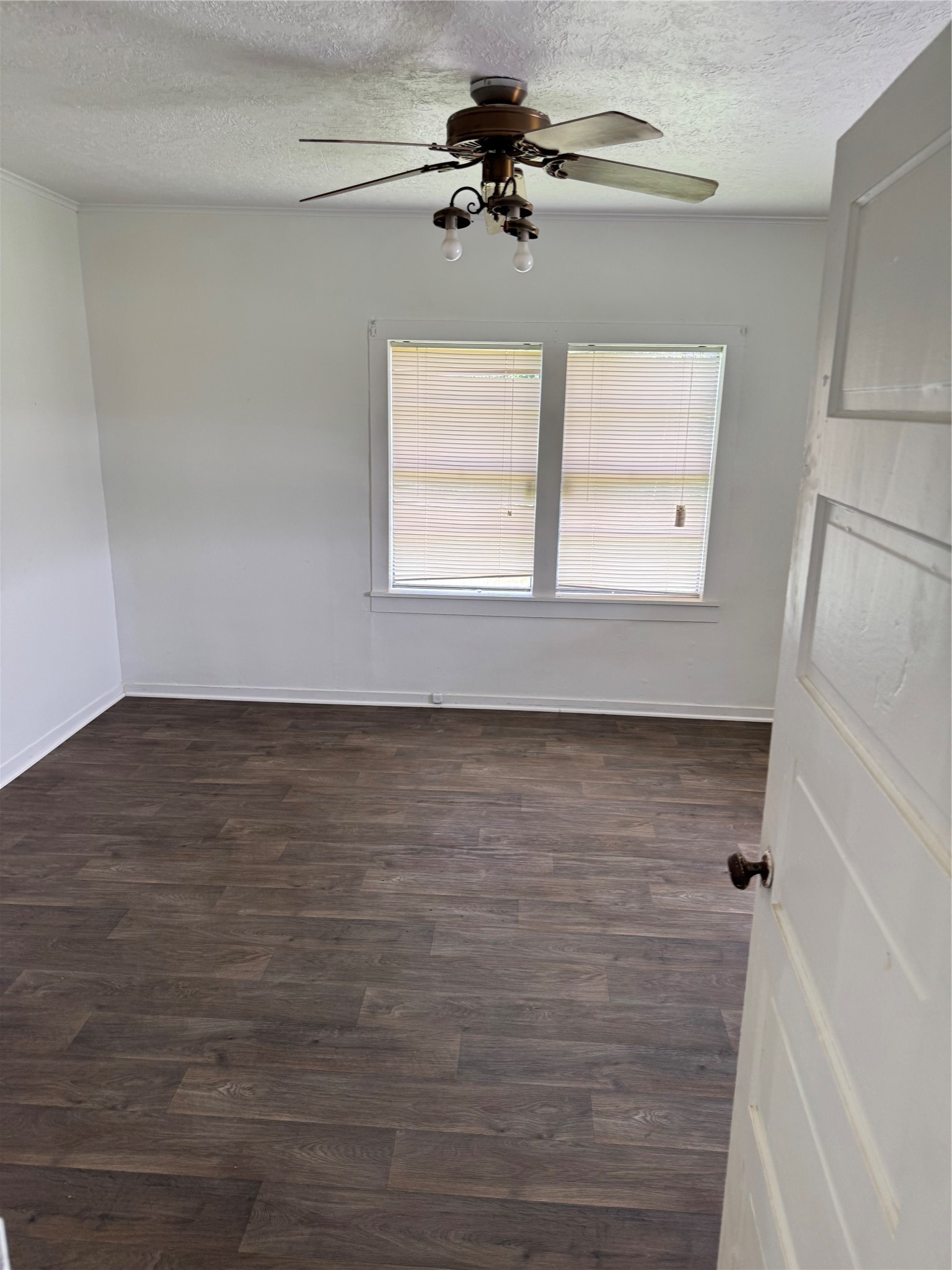 17230 Fm 1488 Road Property Photo 5