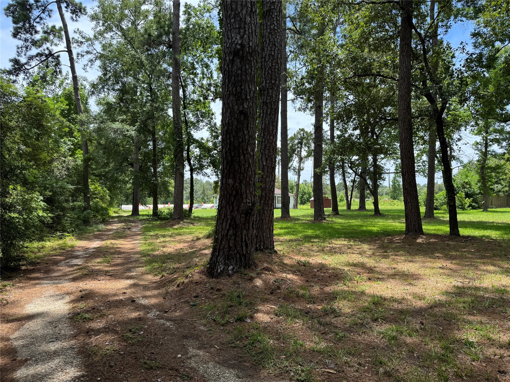 17230 Fm 1488 Road Property Photo 9
