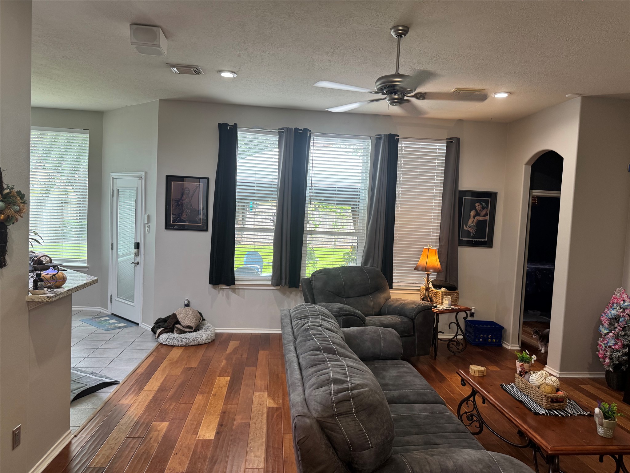 17726 Memorial Springs Drive Property Photo 5