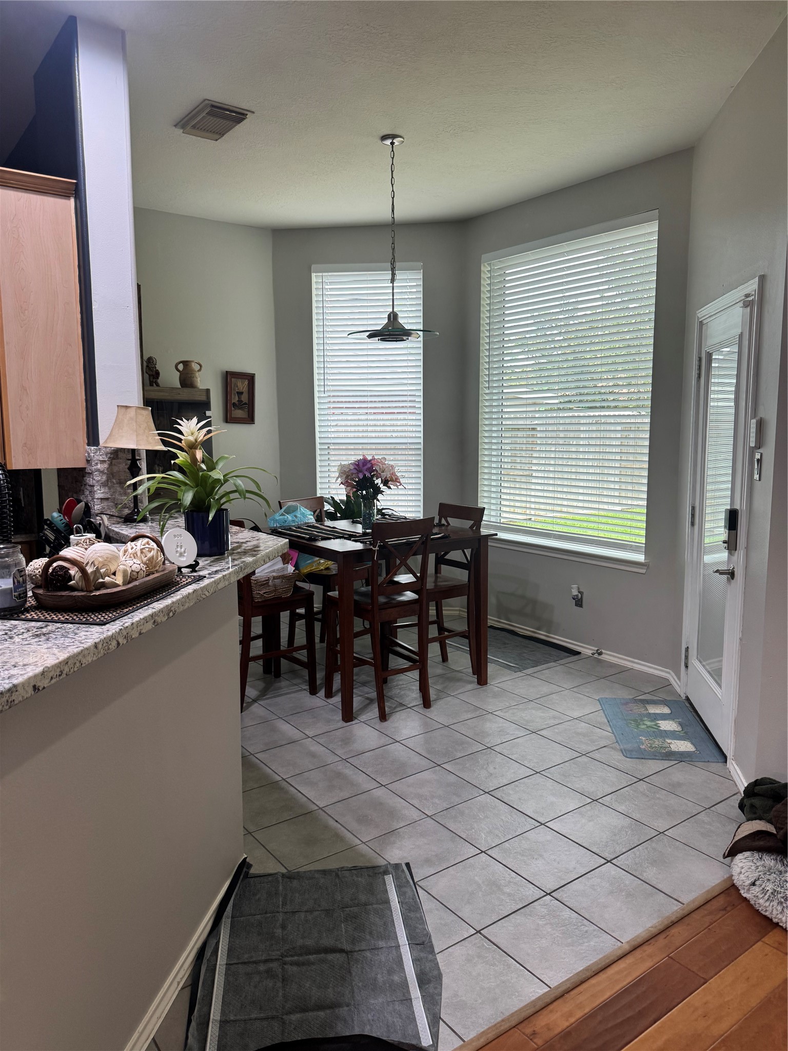 17726 Memorial Springs Drive Property Photo 9