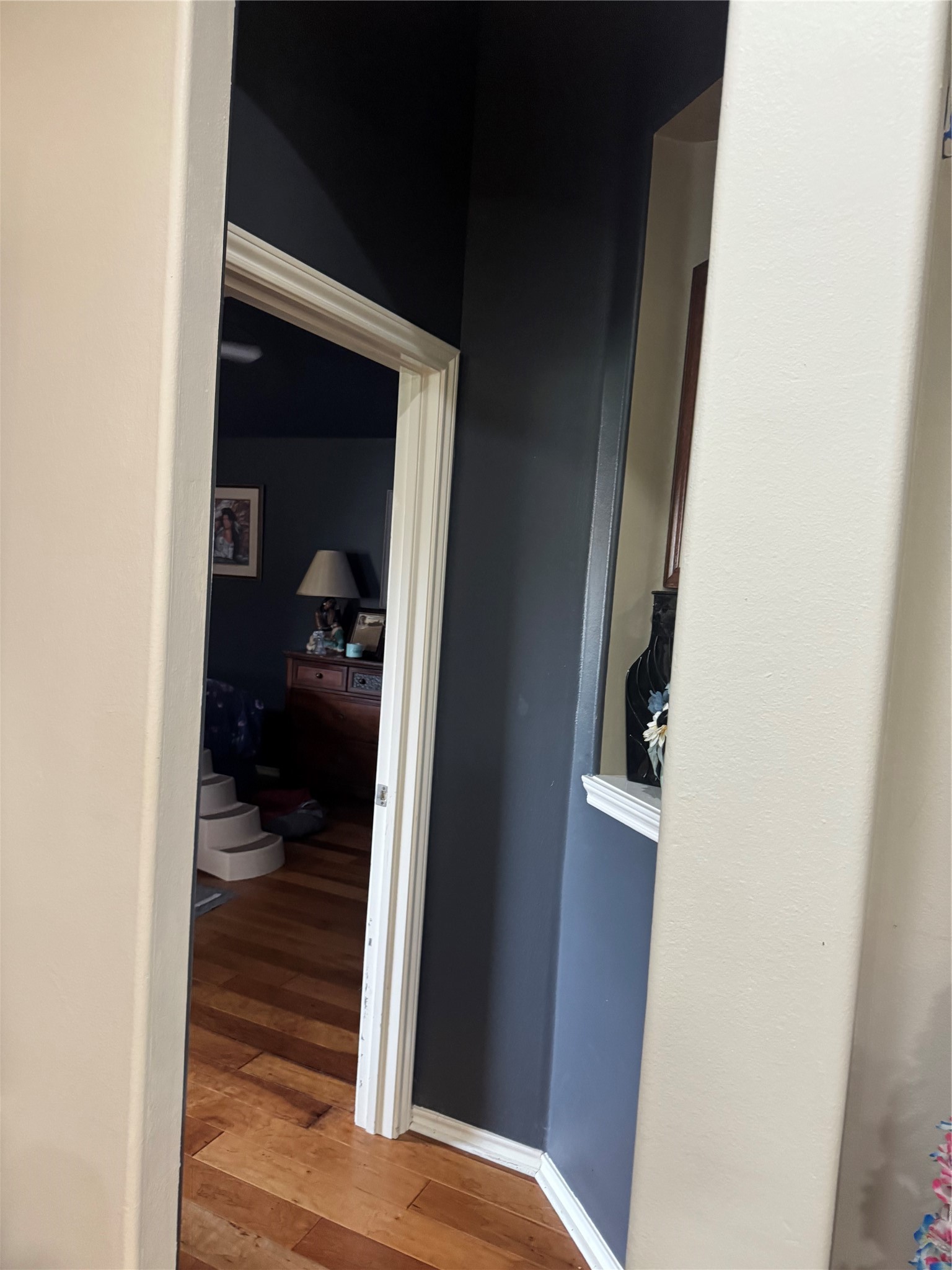 17726 Memorial Springs Drive Property Photo 13