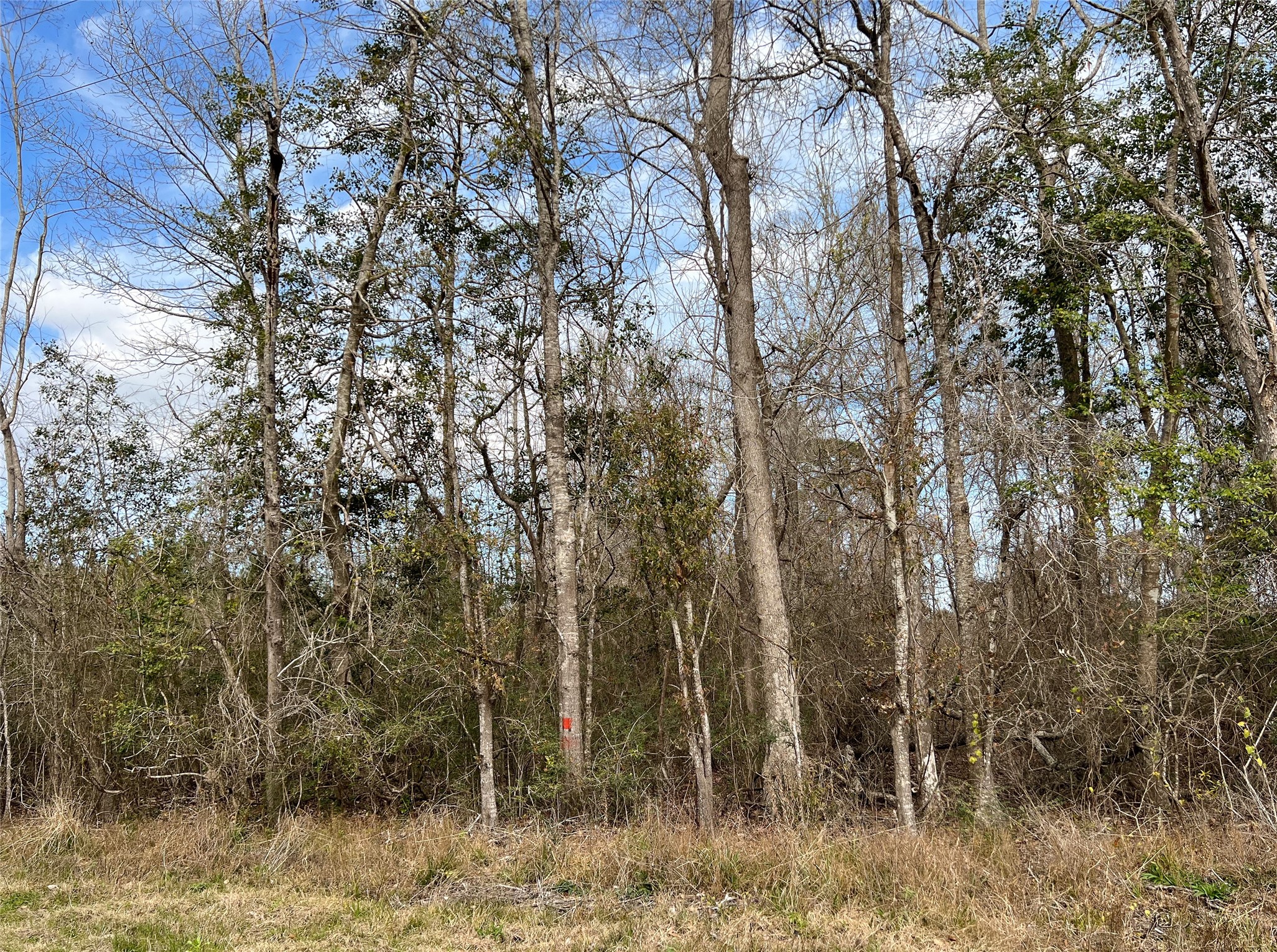00000 Fm 1746 Property Photo 6