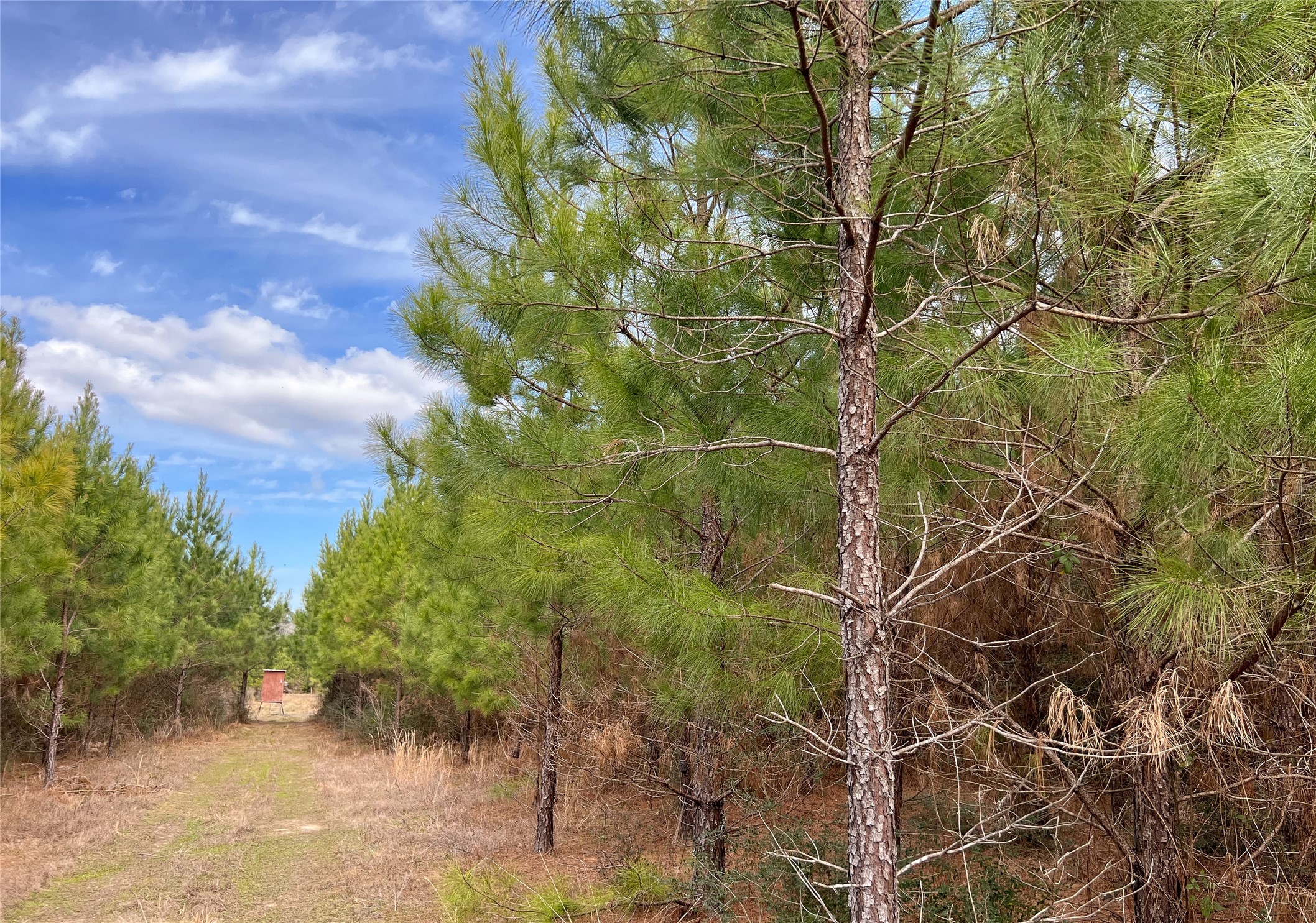 00000 Fm 1746 Property Photo 12
