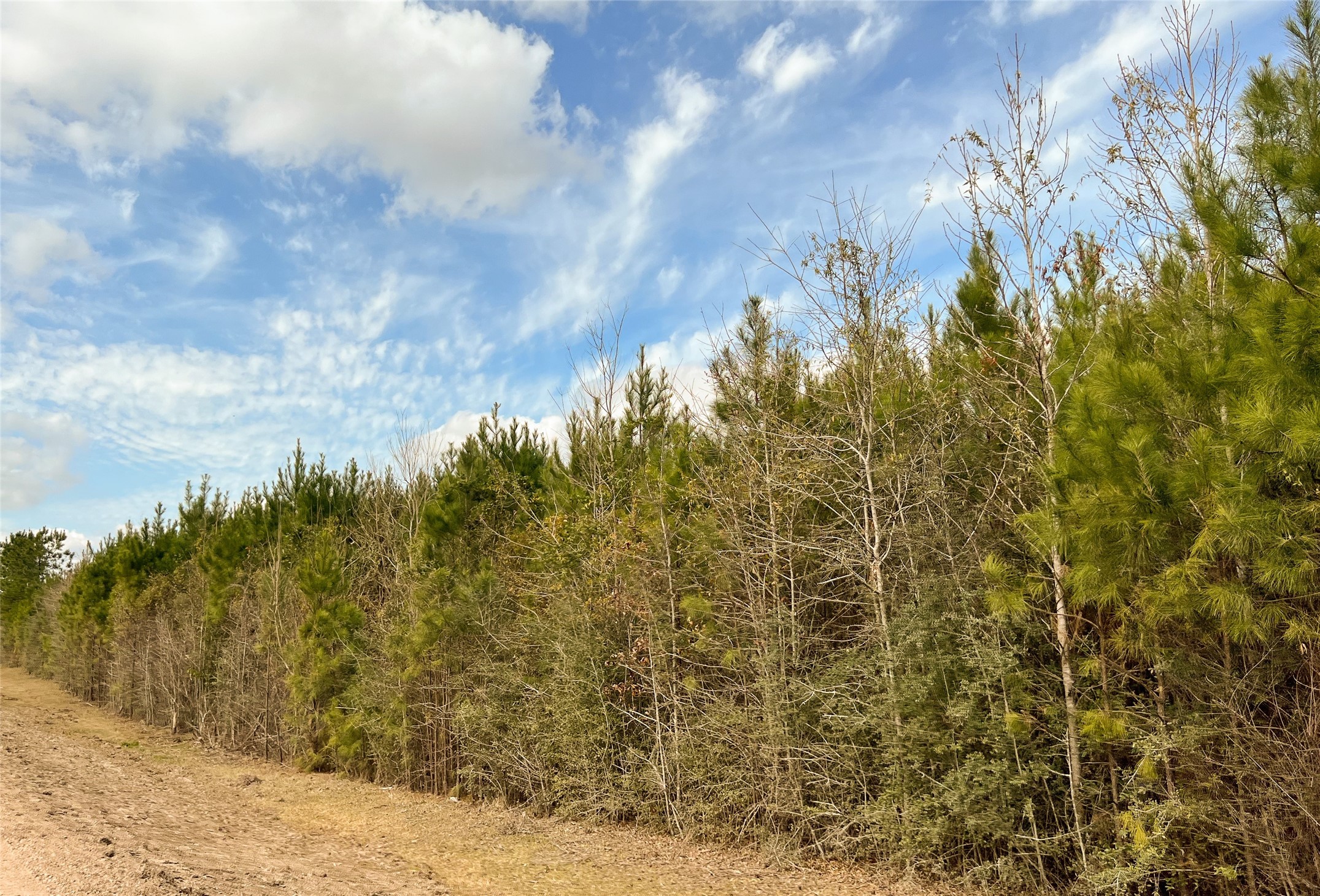 00000 Fm 1746 Property Photo 13