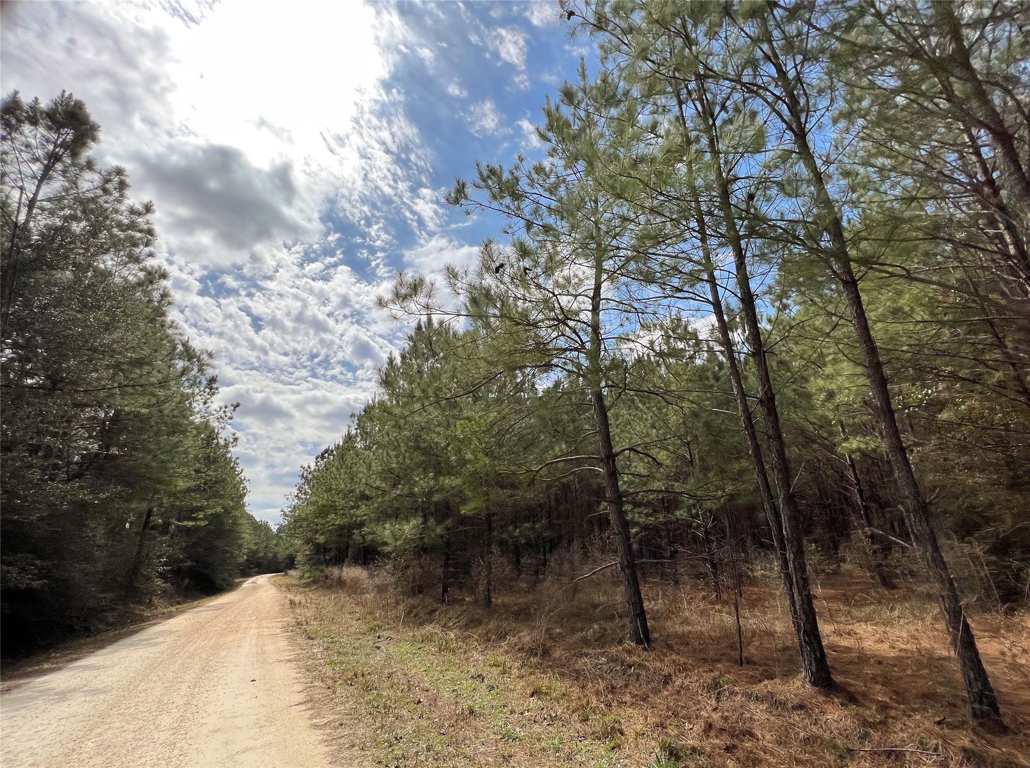 00000 Fm 1746 Property Photo 15