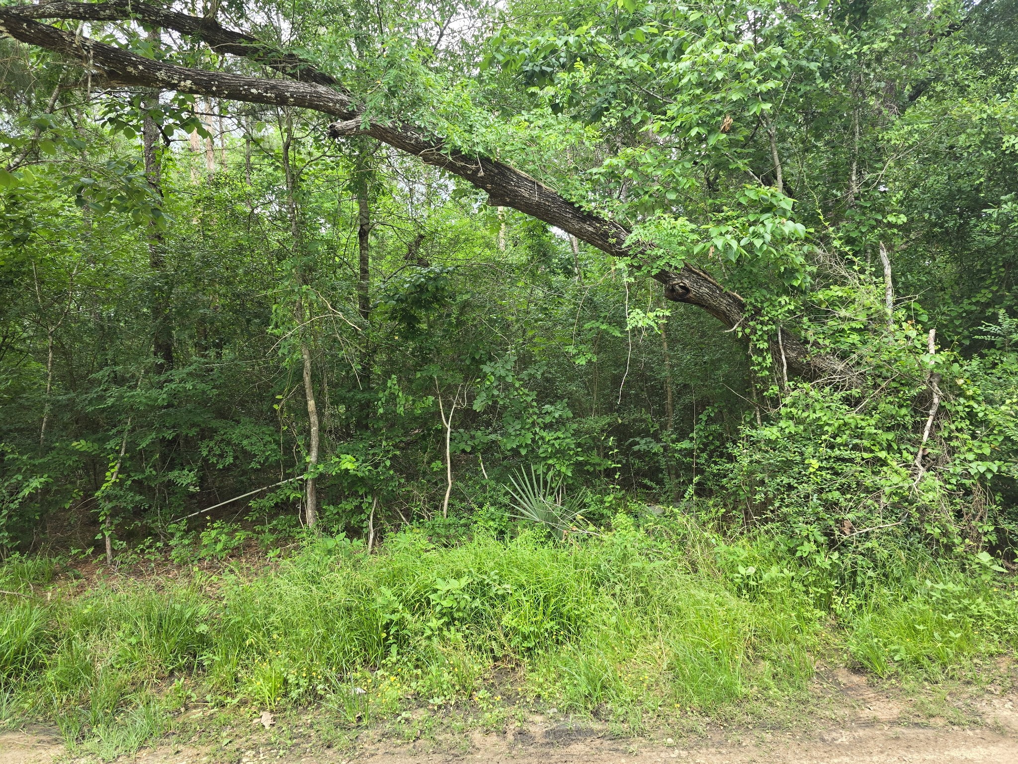 00 Joyner Road Property Photo 6