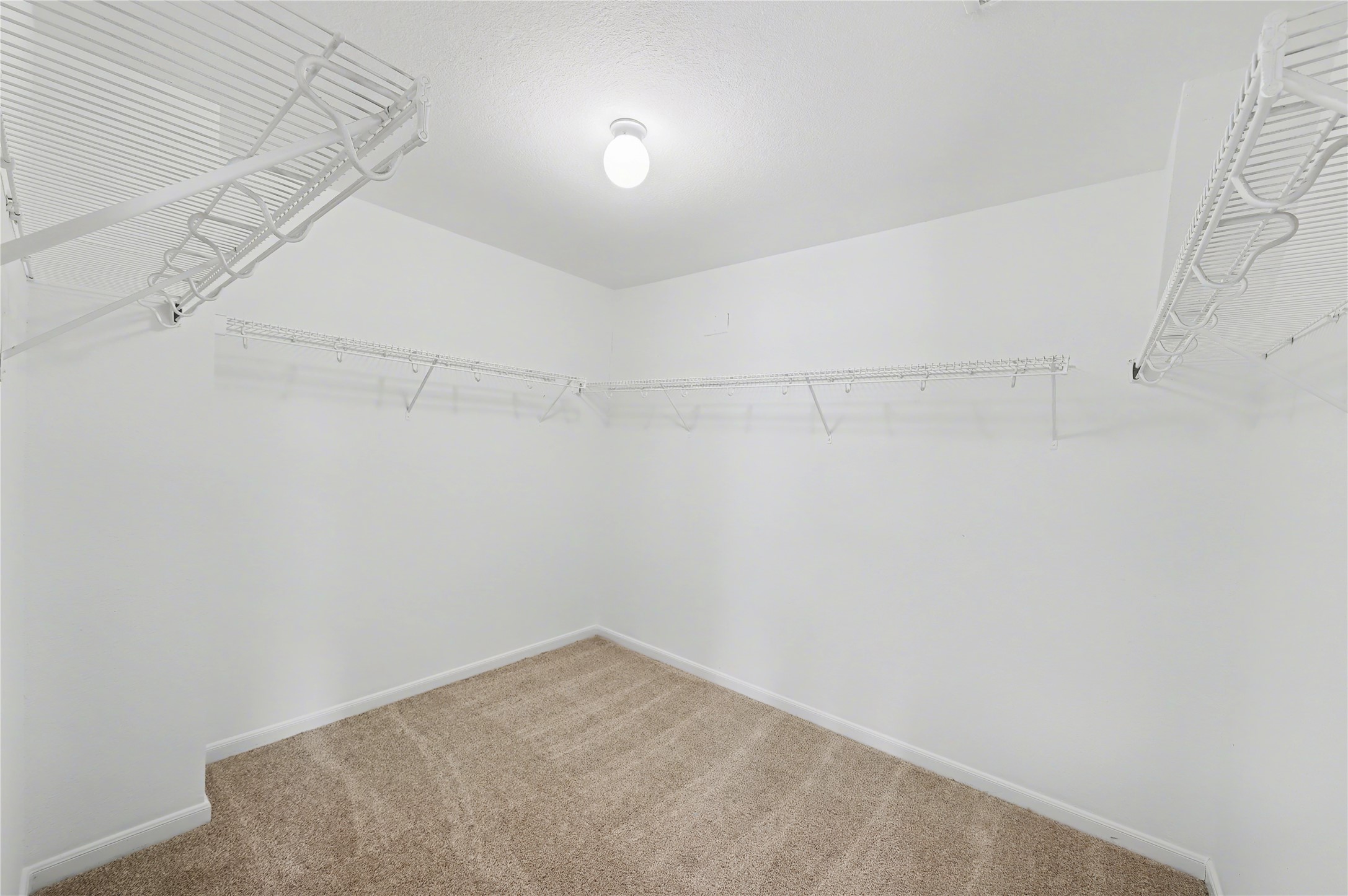 11243 Wild Goose Drive Property Photo 40