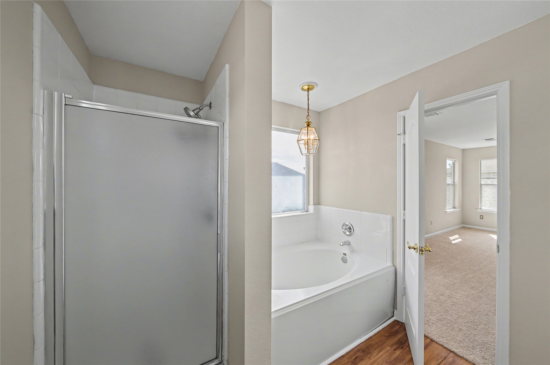 11243 Wild Goose Drive Property Photo 41