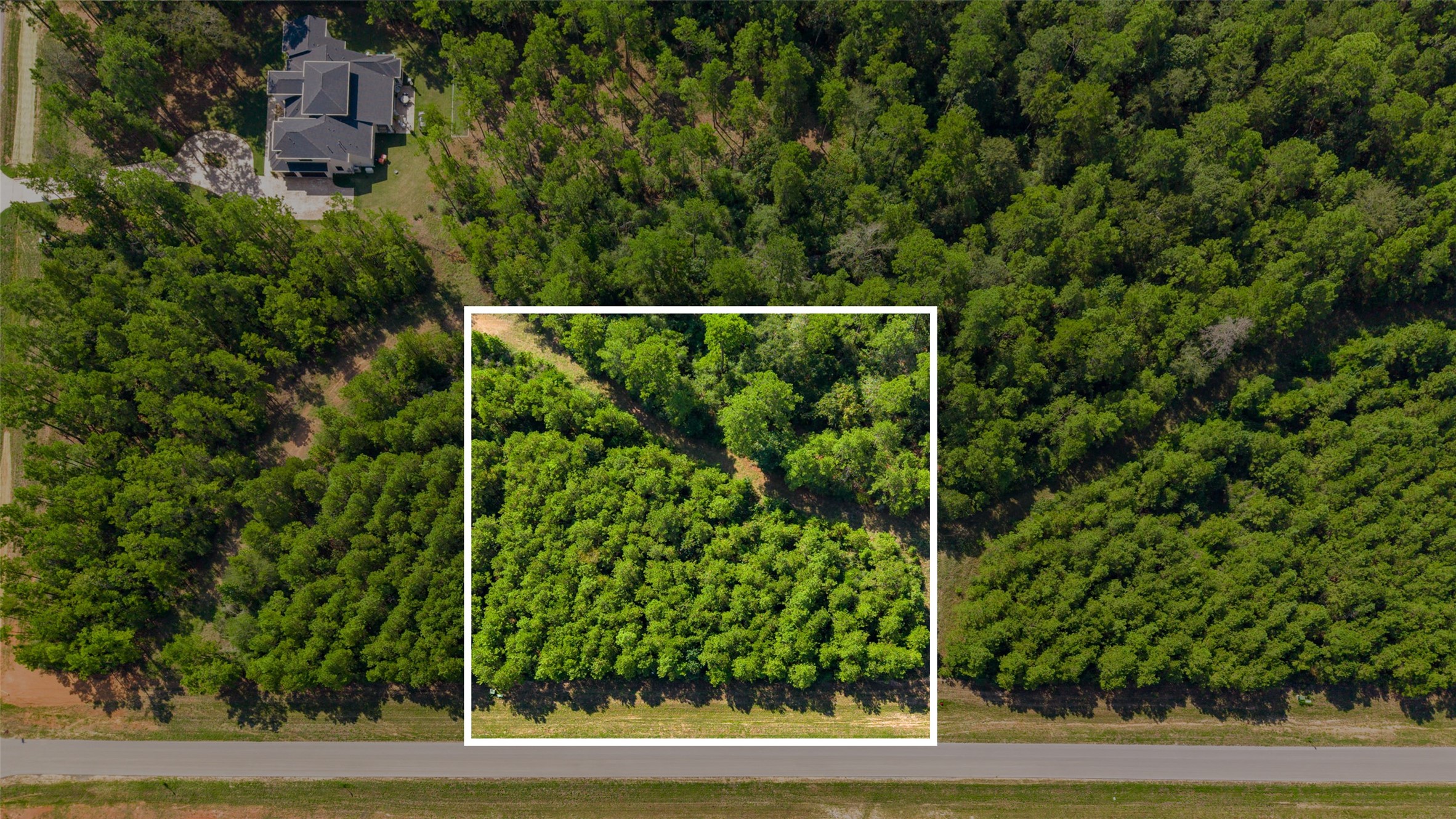 12920 Spacewood Pass Property Photo 1