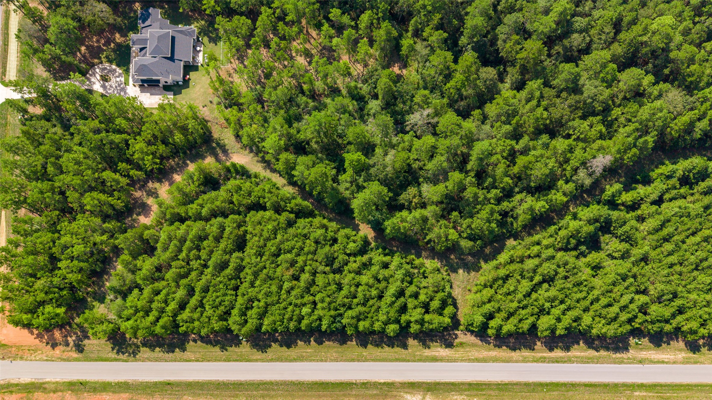 12920 Spacewood Pass Property Photo 2